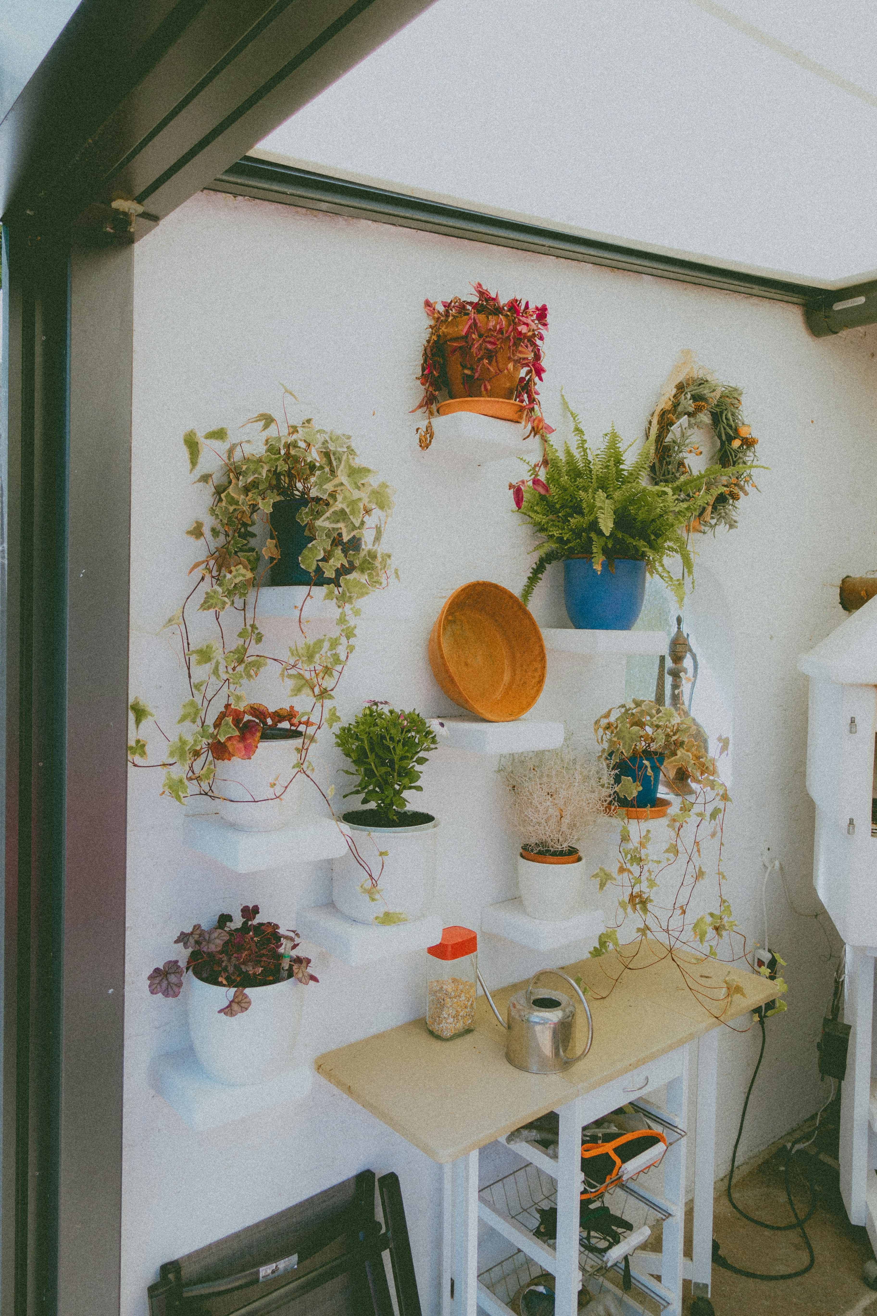 a room filled with lots of potted plants