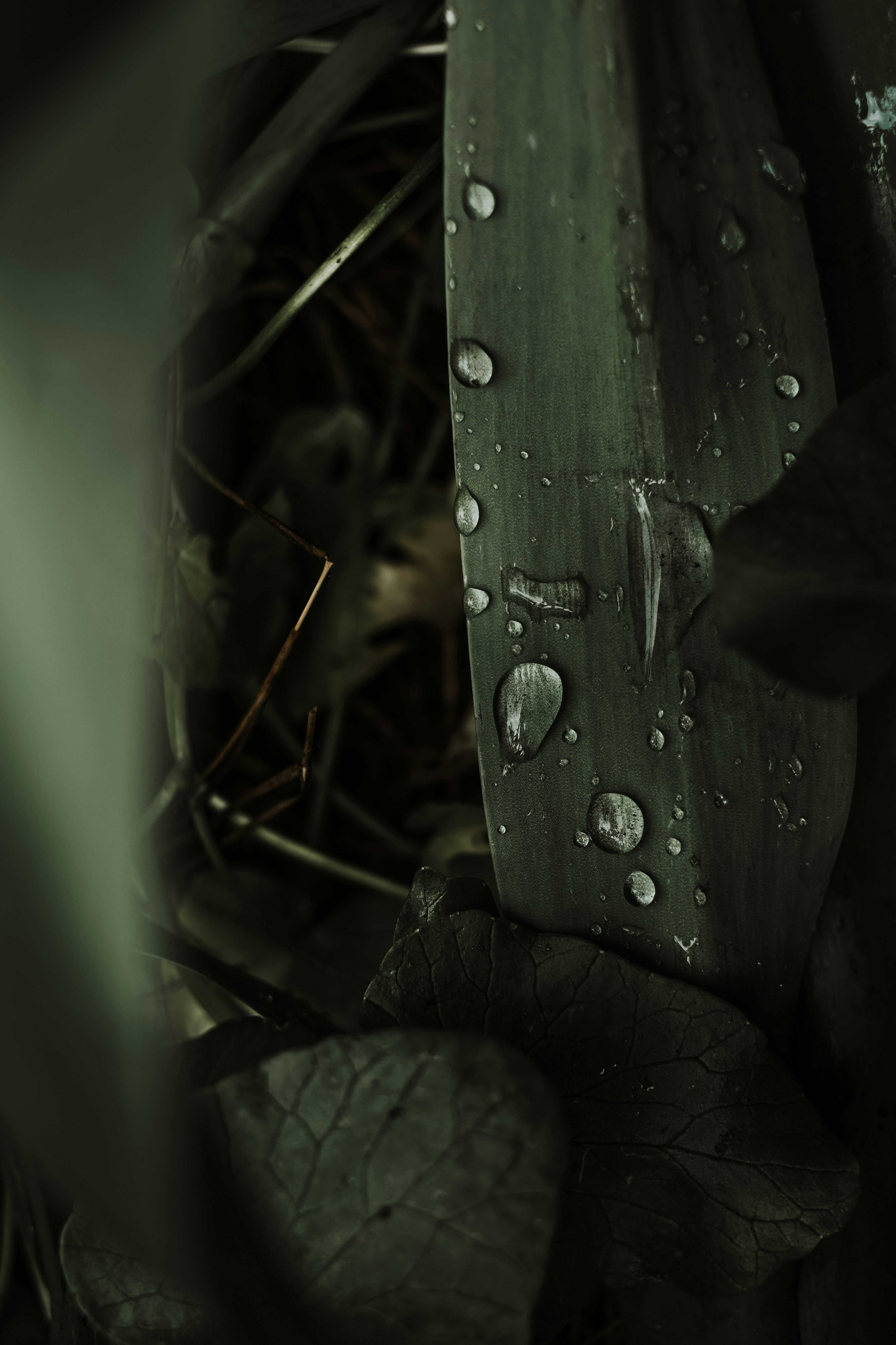 Photo by valeriiamiller