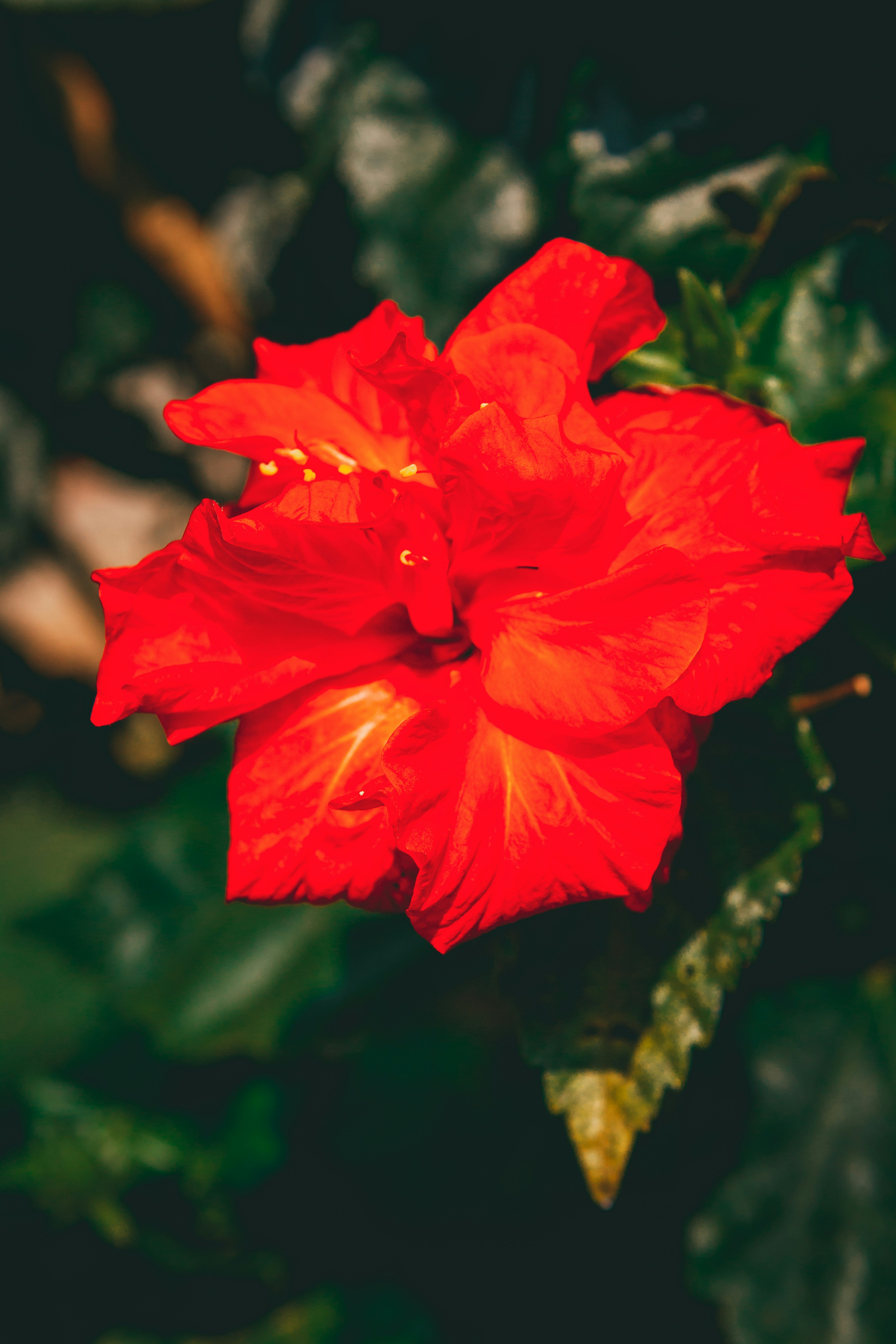 Photo by raimondklavins