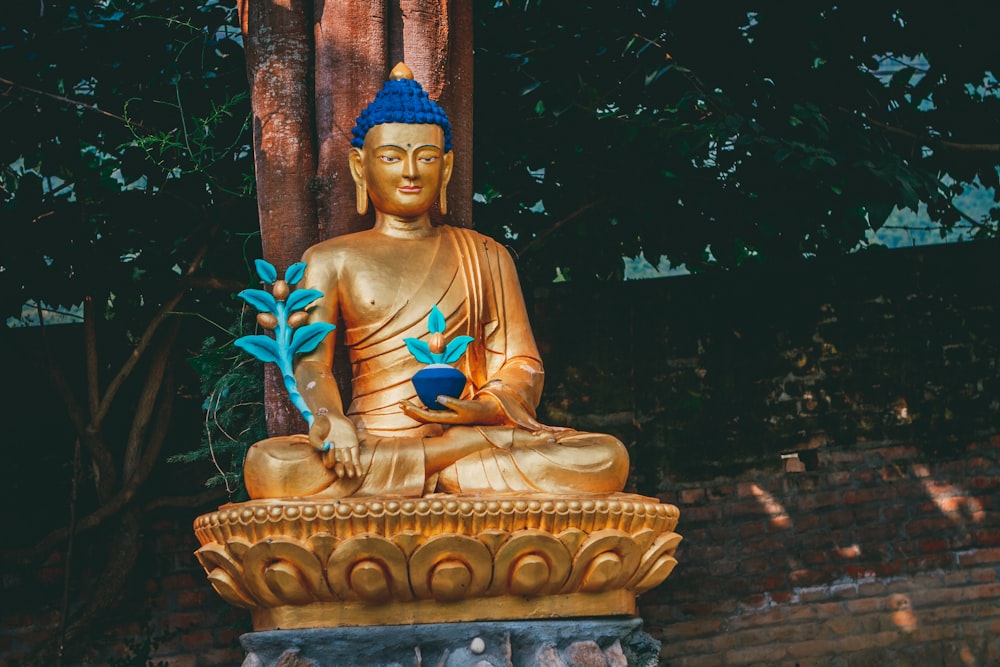 gold buddha statue near green plant