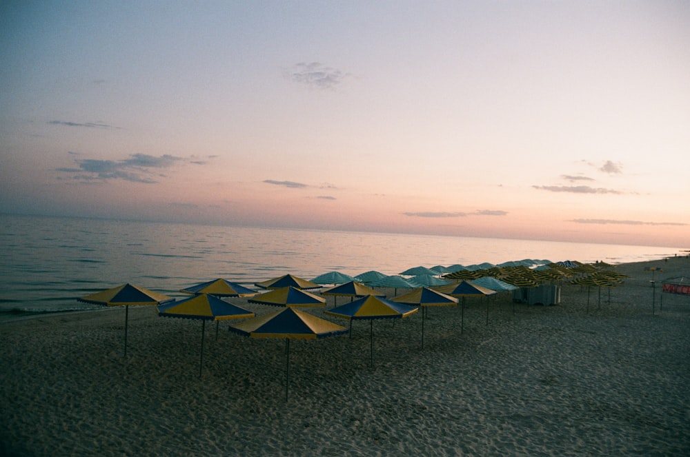 parasols jaunes et bleus sur la plage au coucher du soleil