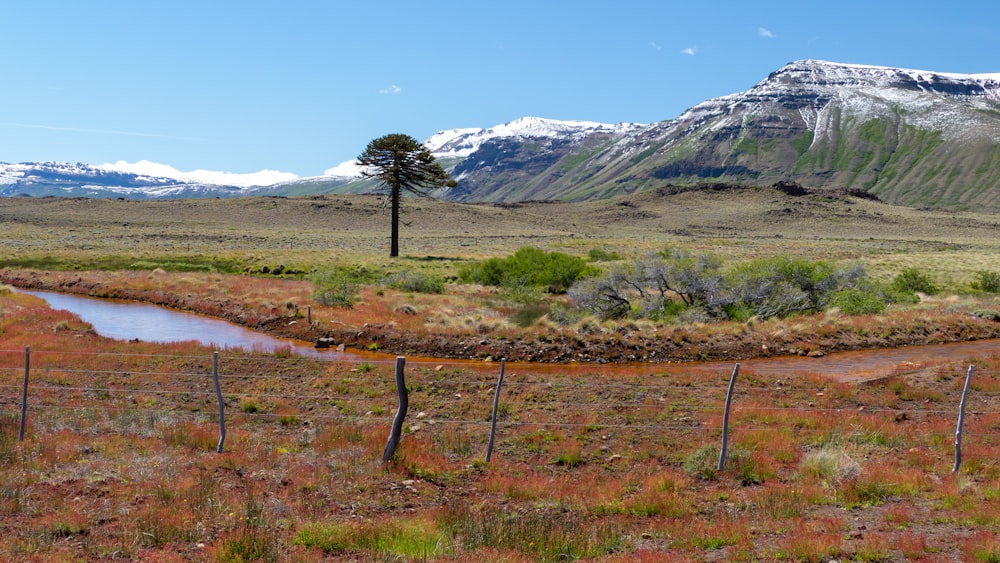 a small stream running through a field with mountains in the background