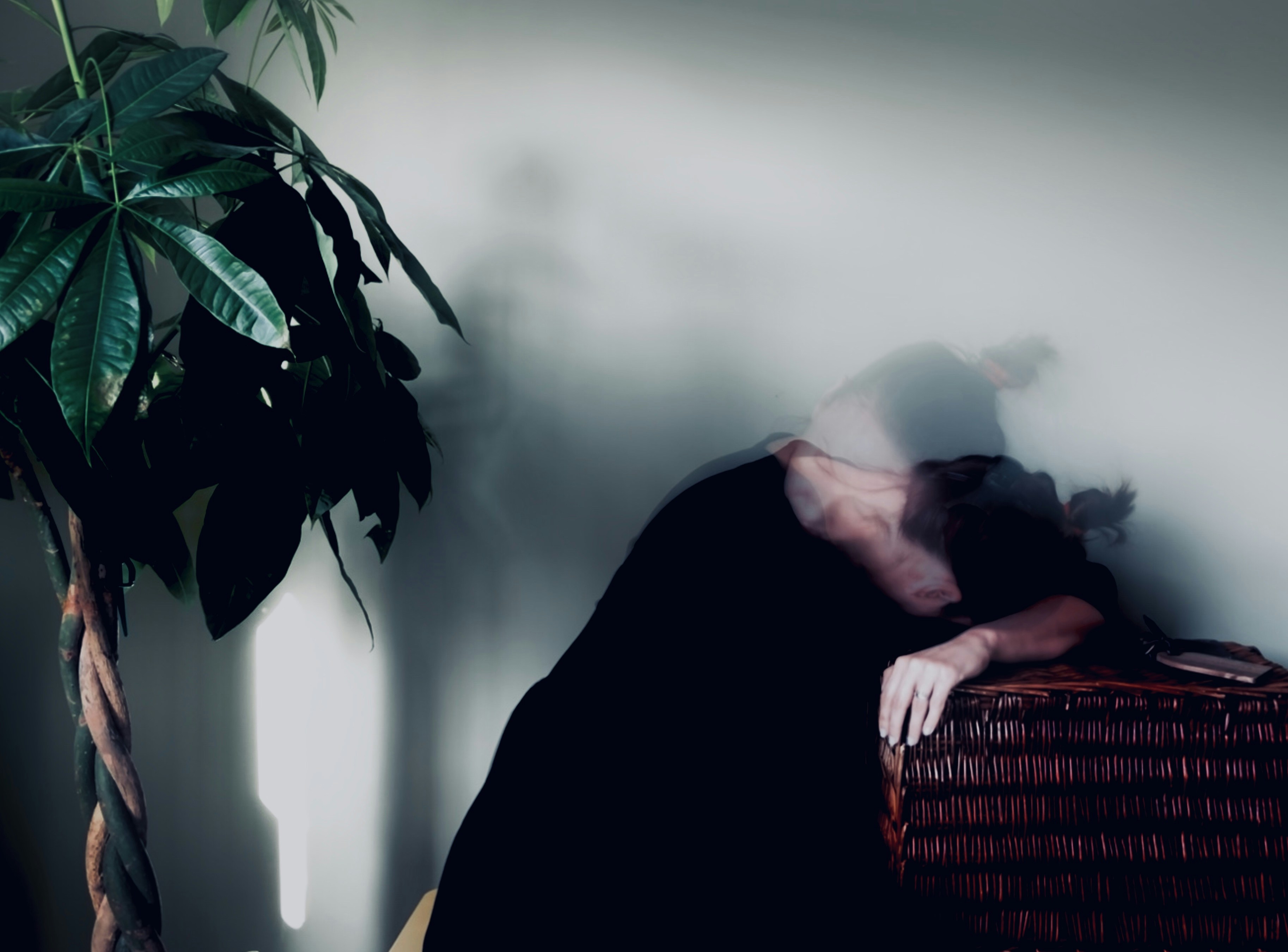 Photo by photos_frompasttofuture