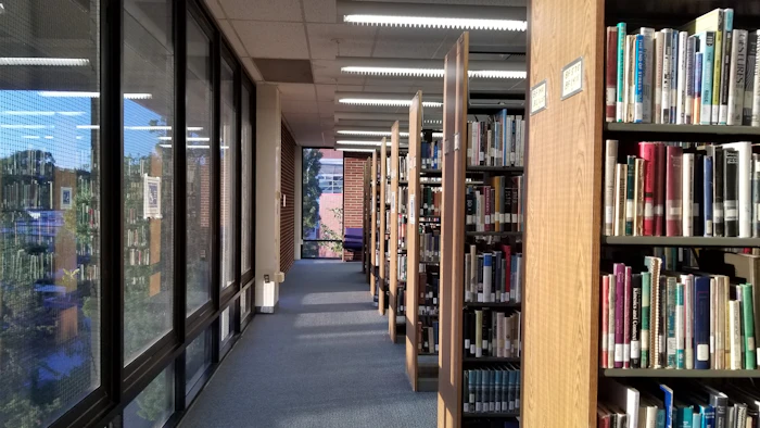 Gallery image