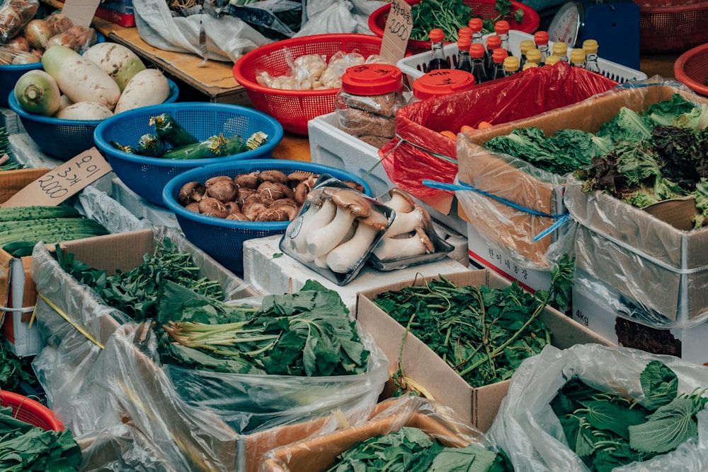 foglie verdi su sacchetti di plastica