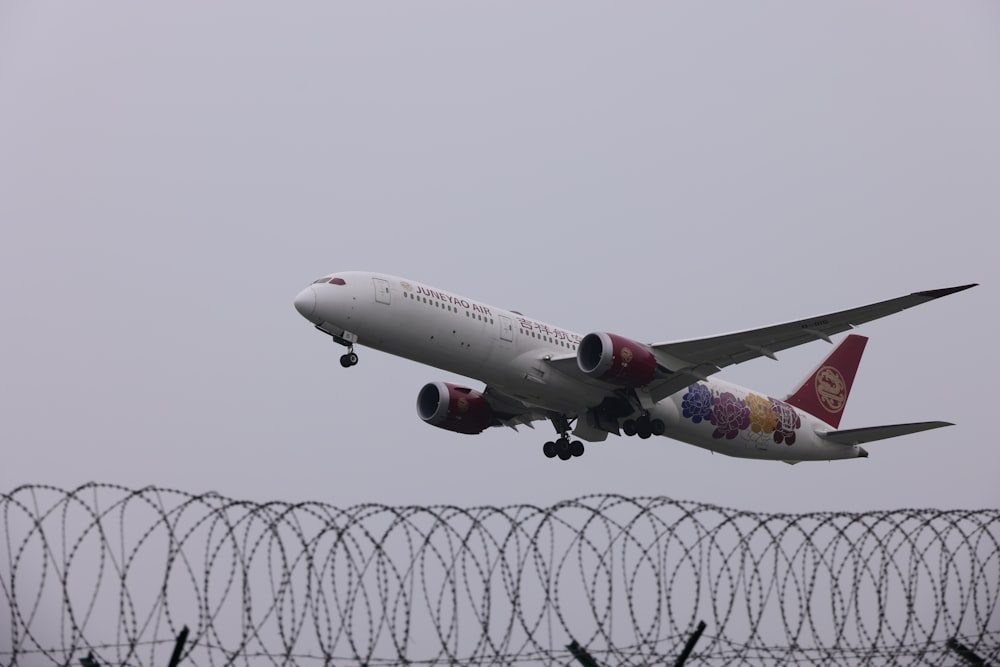 a large jetliner flying through a cloudy sky