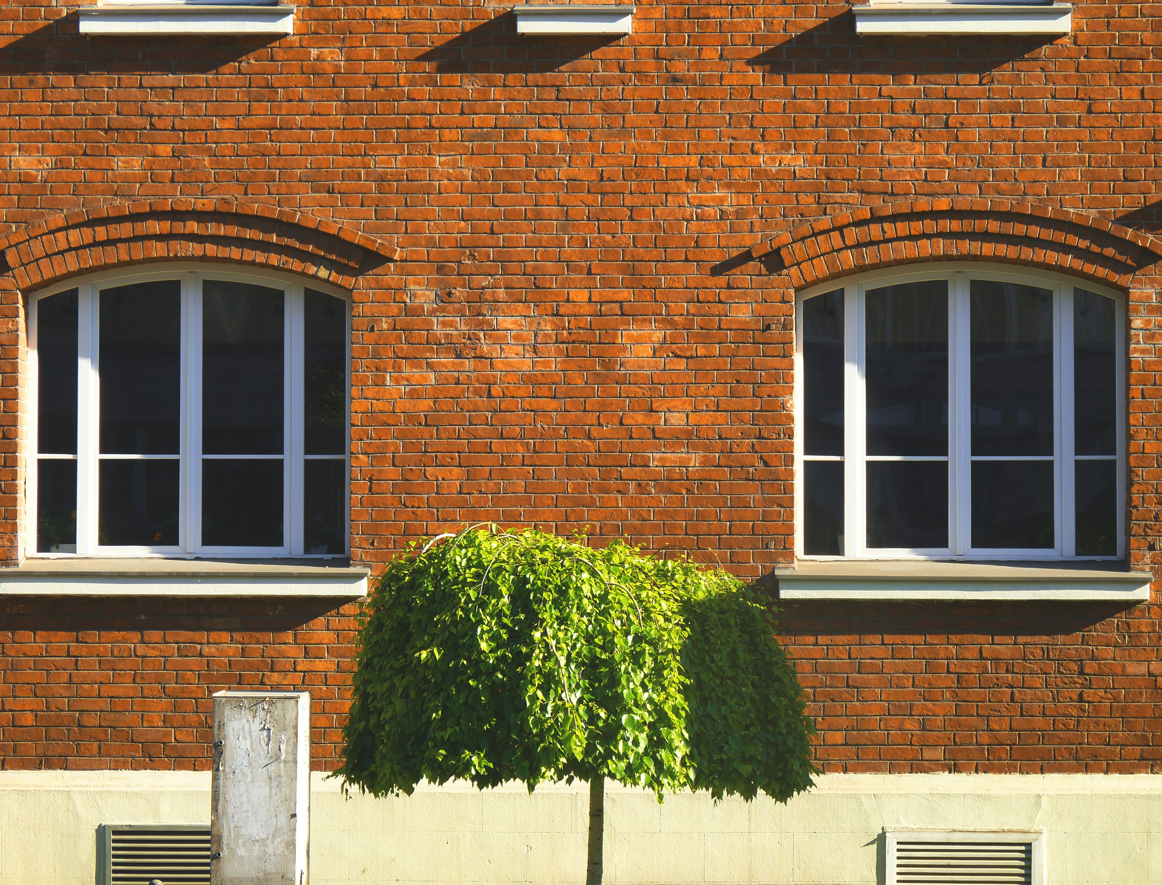 Photo by mari_oleacu