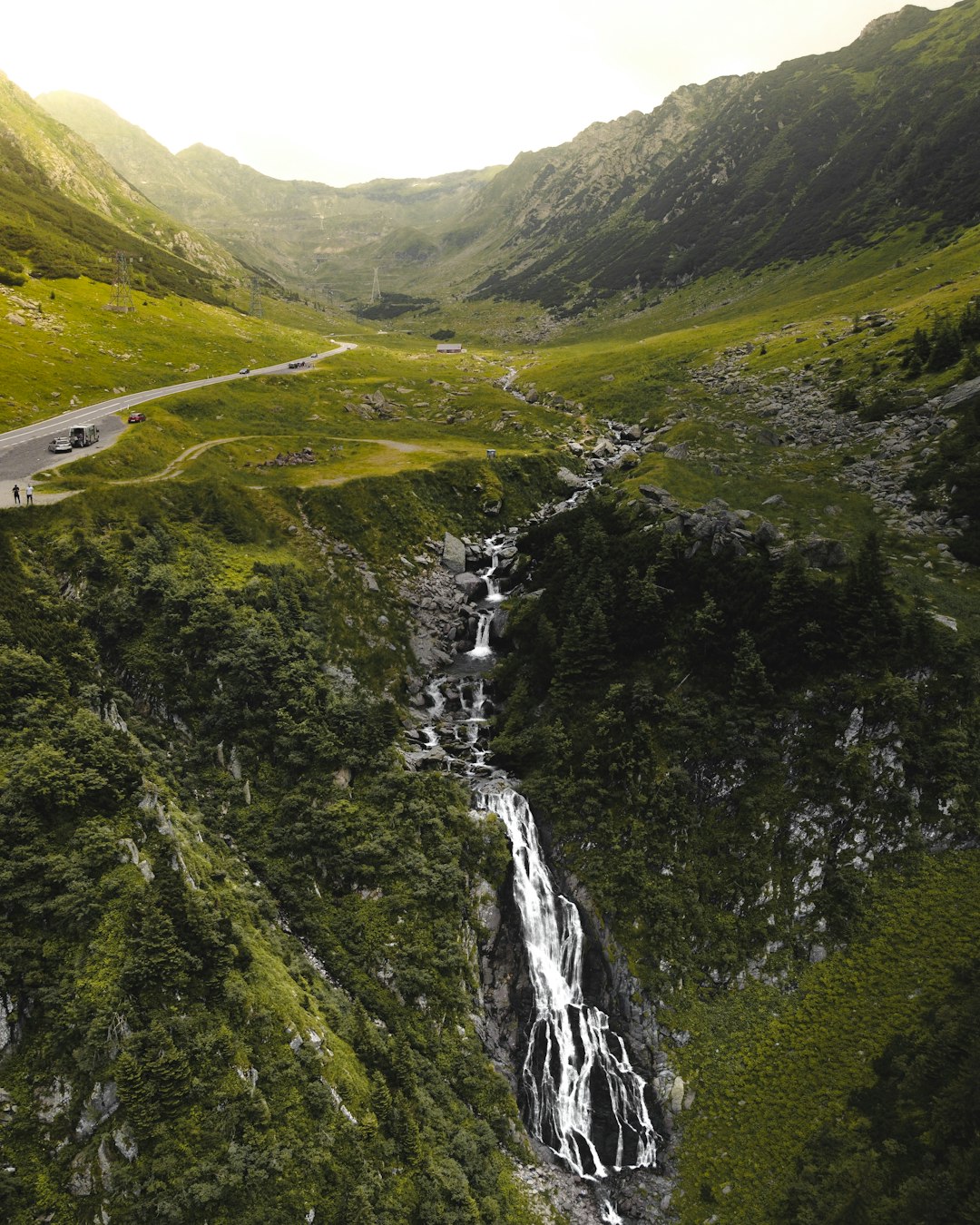 aerial view of green mountains and trees