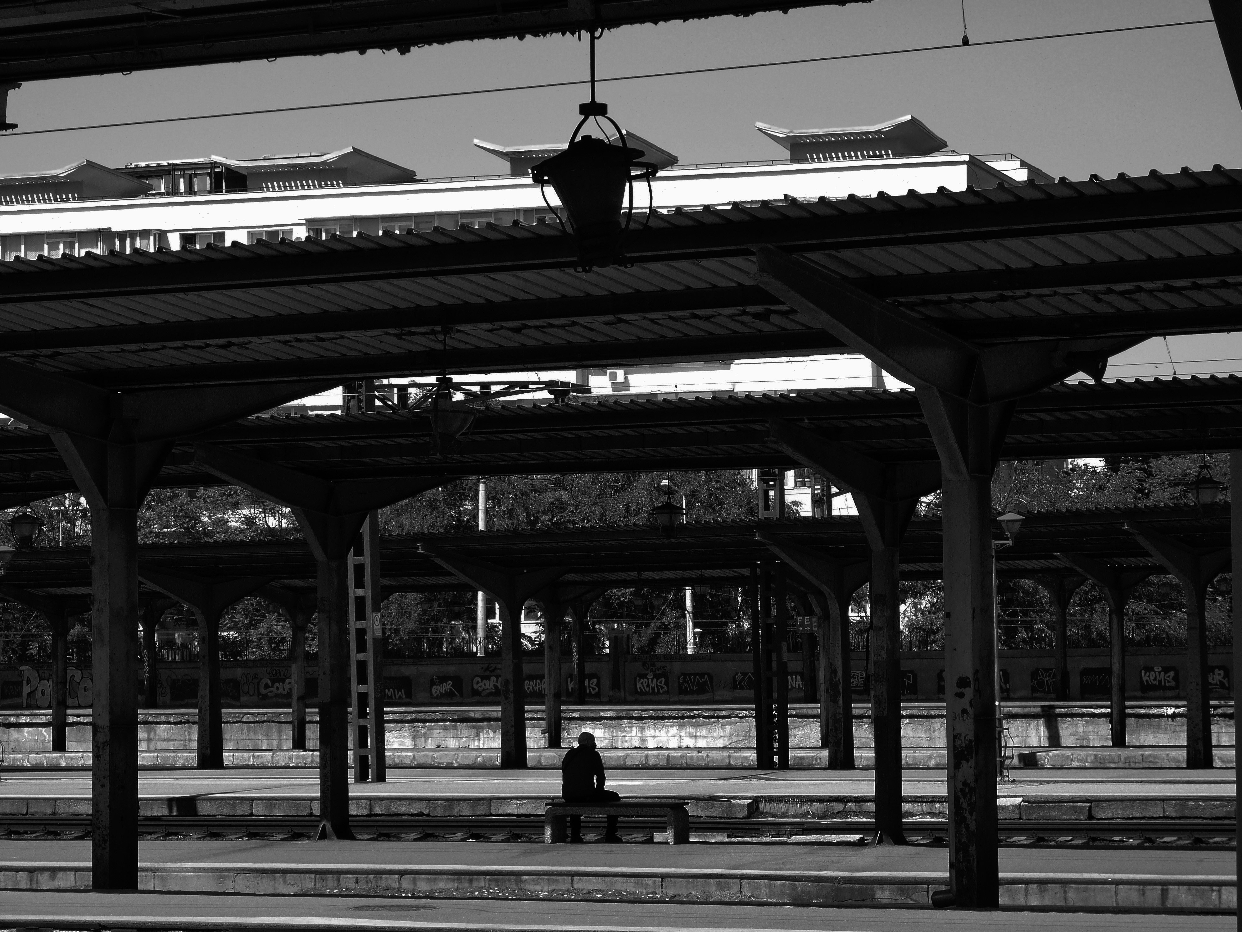 Photo by mari_oleacu