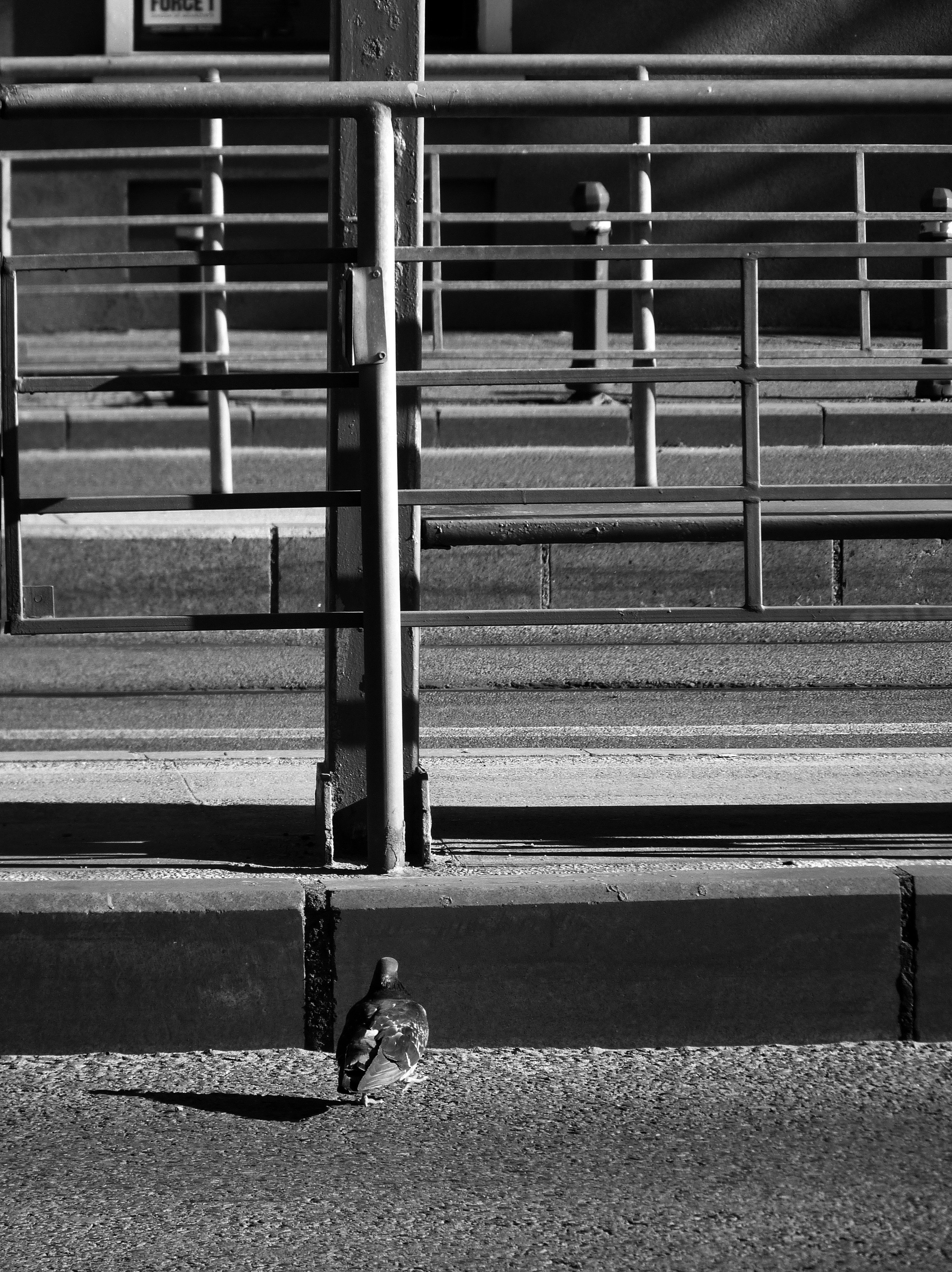 Photo by mari_oleacu