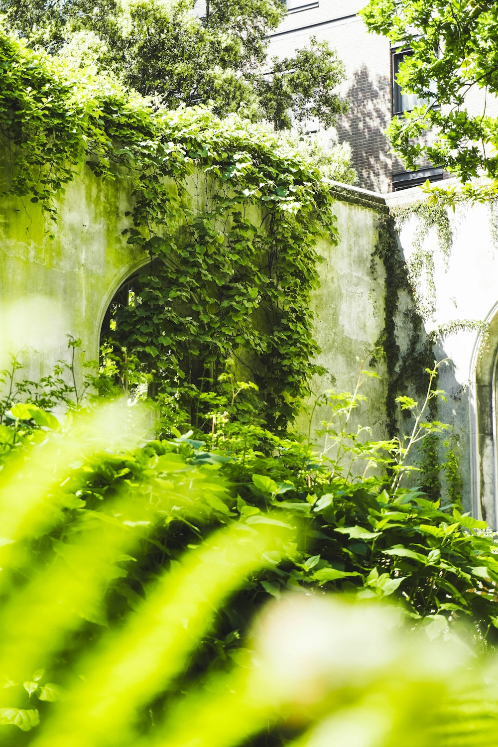 a building covered in vines next to a lush green forest