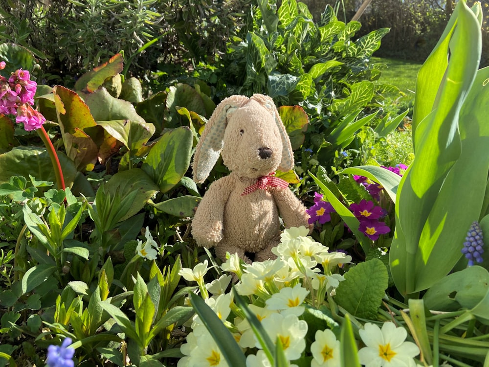 a teddy bear sitting in the middle of a garden
