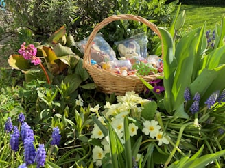 A wicker basket filled with chocolate treats is nestled among vibrant spring flowers in a garden. Surrounding the basket are various flowers, including purple grape hyacinths, yellow primroses, and pink blooms. The lush greenery and colorful blossoms create a lively and fresh atmosphere.