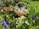 A wicker basket filled with chocolate treats is nestled among vibrant spring flowers in a garden. Surrounding the basket are various flowers, including purple grape hyacinths, yellow primroses, and pink blooms. The lush greenery and colorful blossoms create a lively and fresh atmosphere.