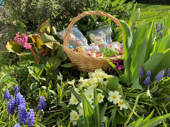 A wicker basket filled with chocolate treats is nestled among vibrant spring flowers in a garden. Surrounding the basket are various flowers, including purple grape hyacinths, yellow primroses, and pink blooms. The lush greenery and colorful blossoms create a lively and fresh atmosphere.