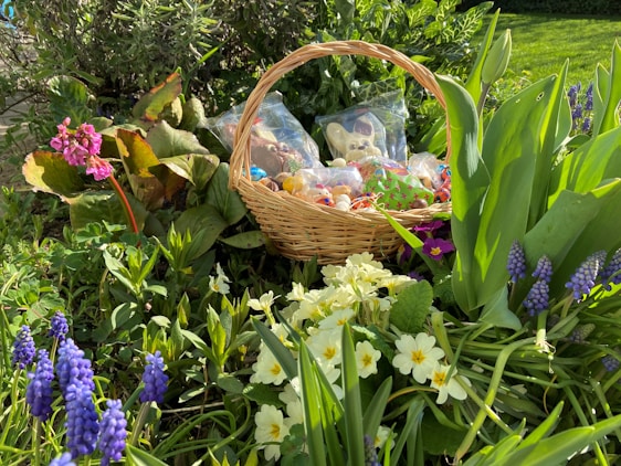 A wicker basket filled with chocolate treats is nestled among vibrant spring flowers in a garden. Surrounding the basket are various flowers, including purple grape hyacinths, yellow primroses, and pink blooms. The lush greenery and colorful blossoms create a lively and fresh atmosphere.