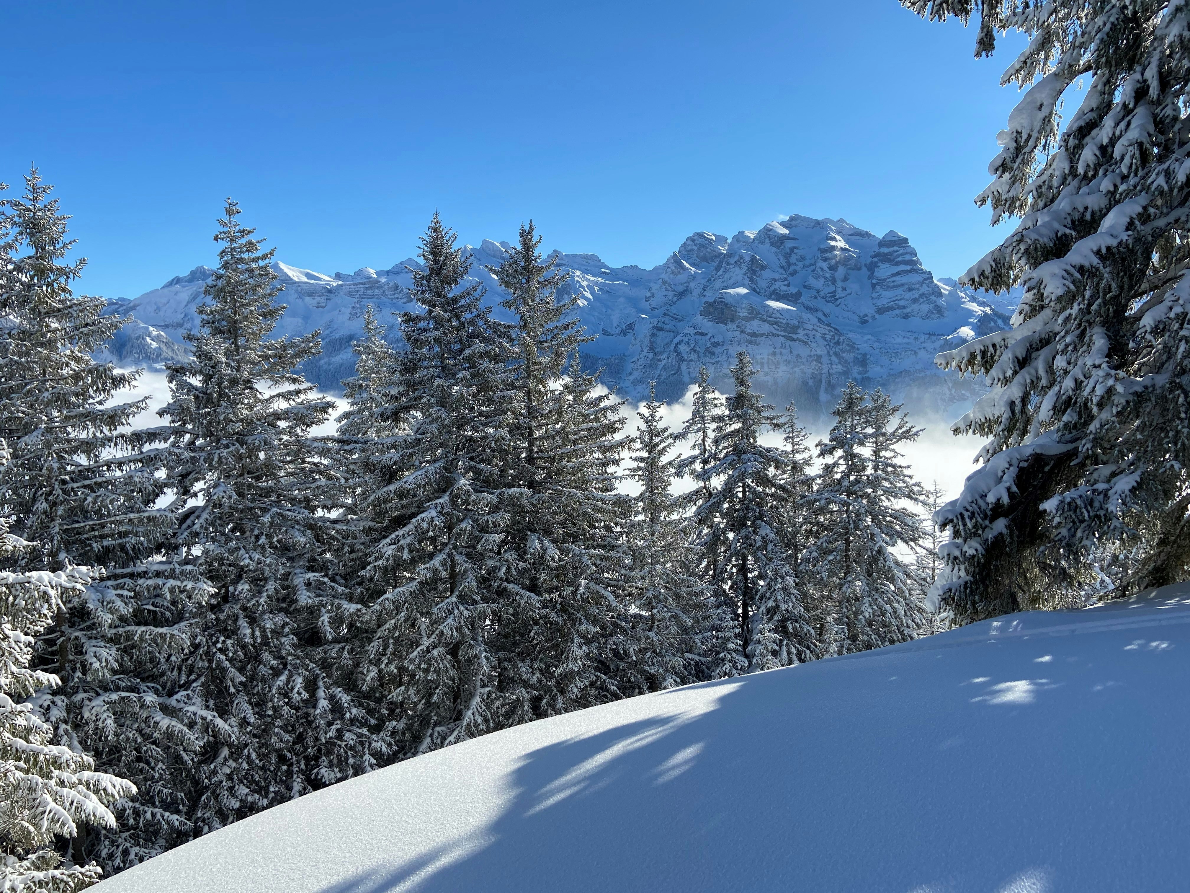 Photo by judith_ultra