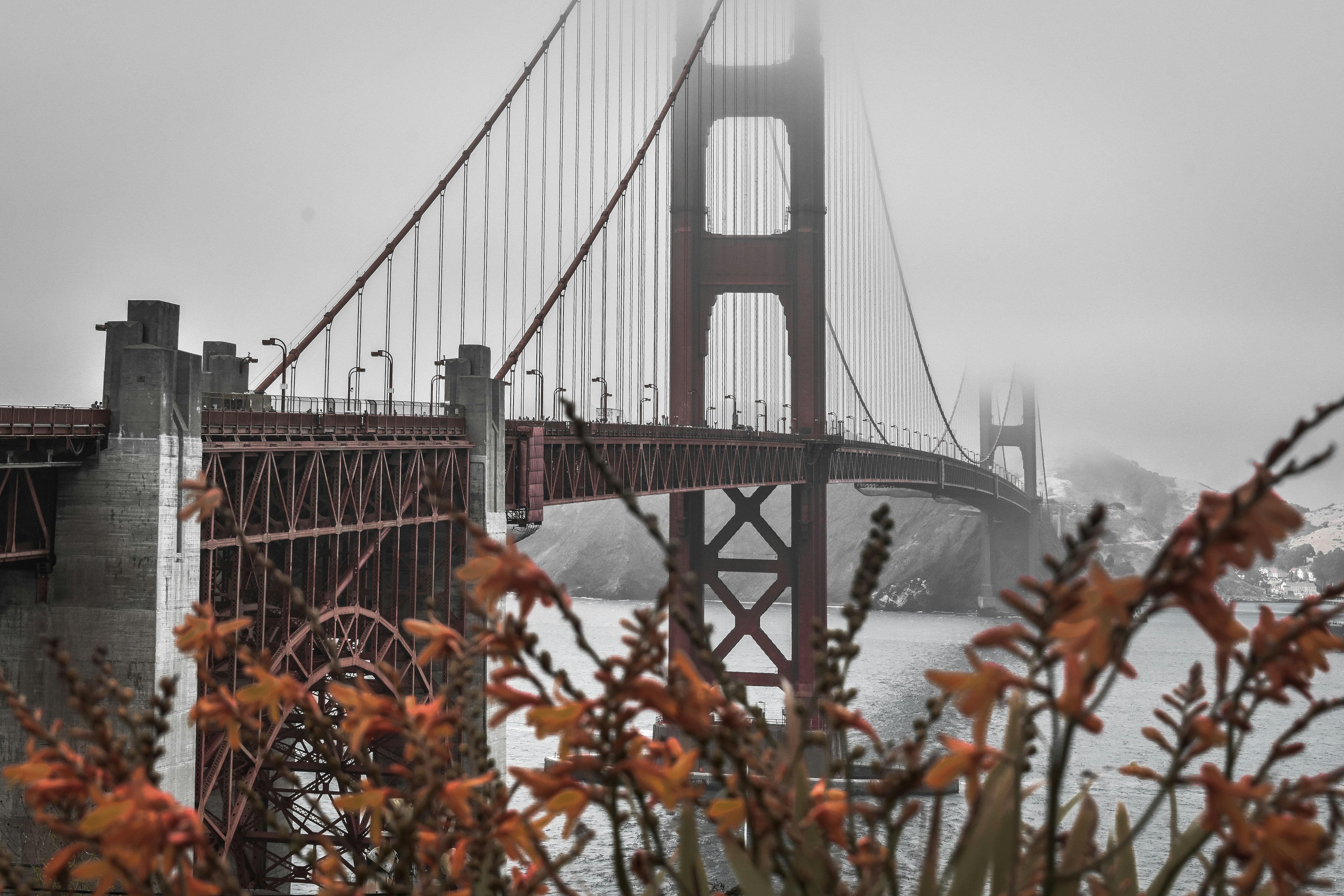bridge over body of water during daytime