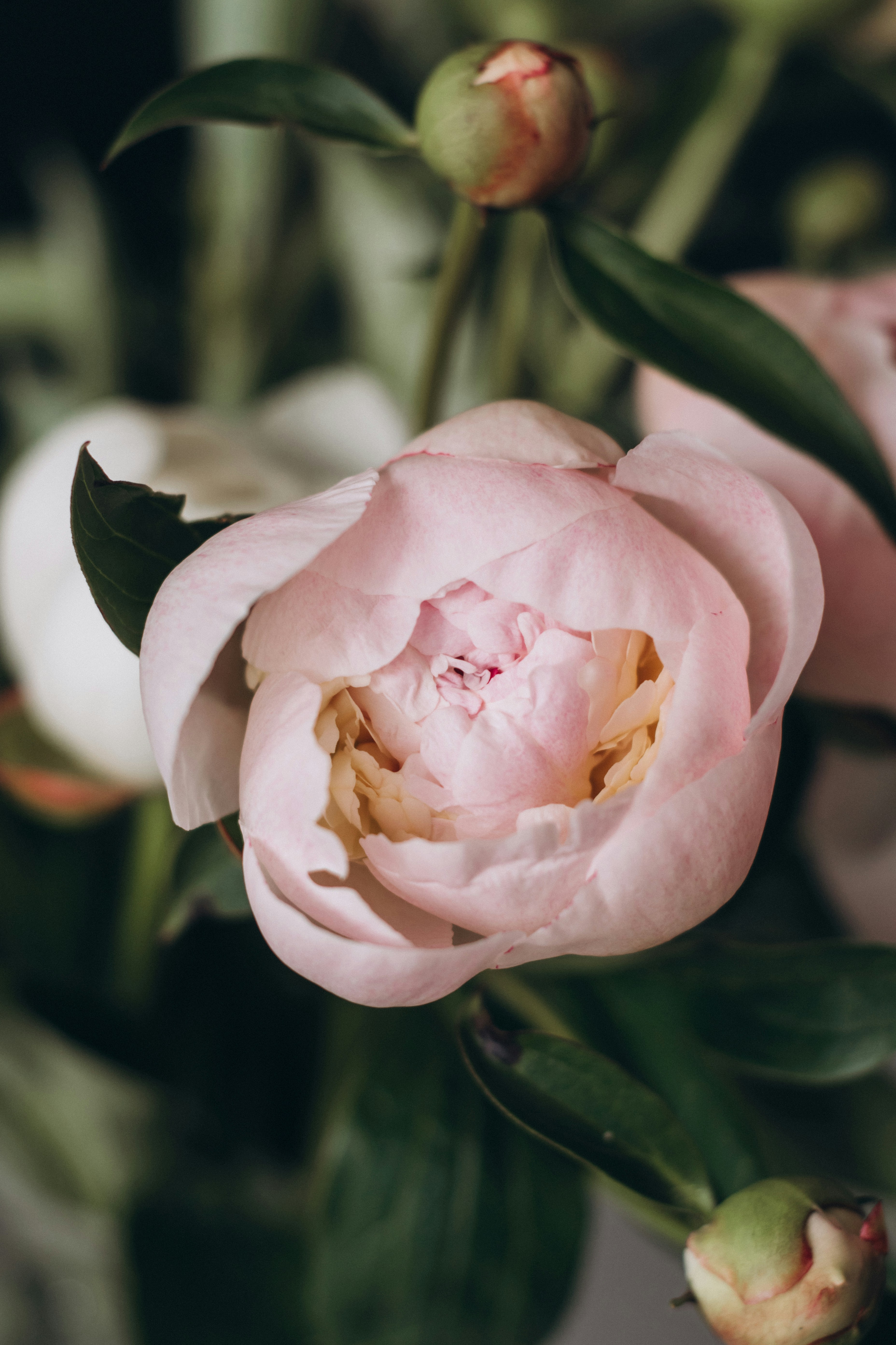 Photo by raspopovamarisha