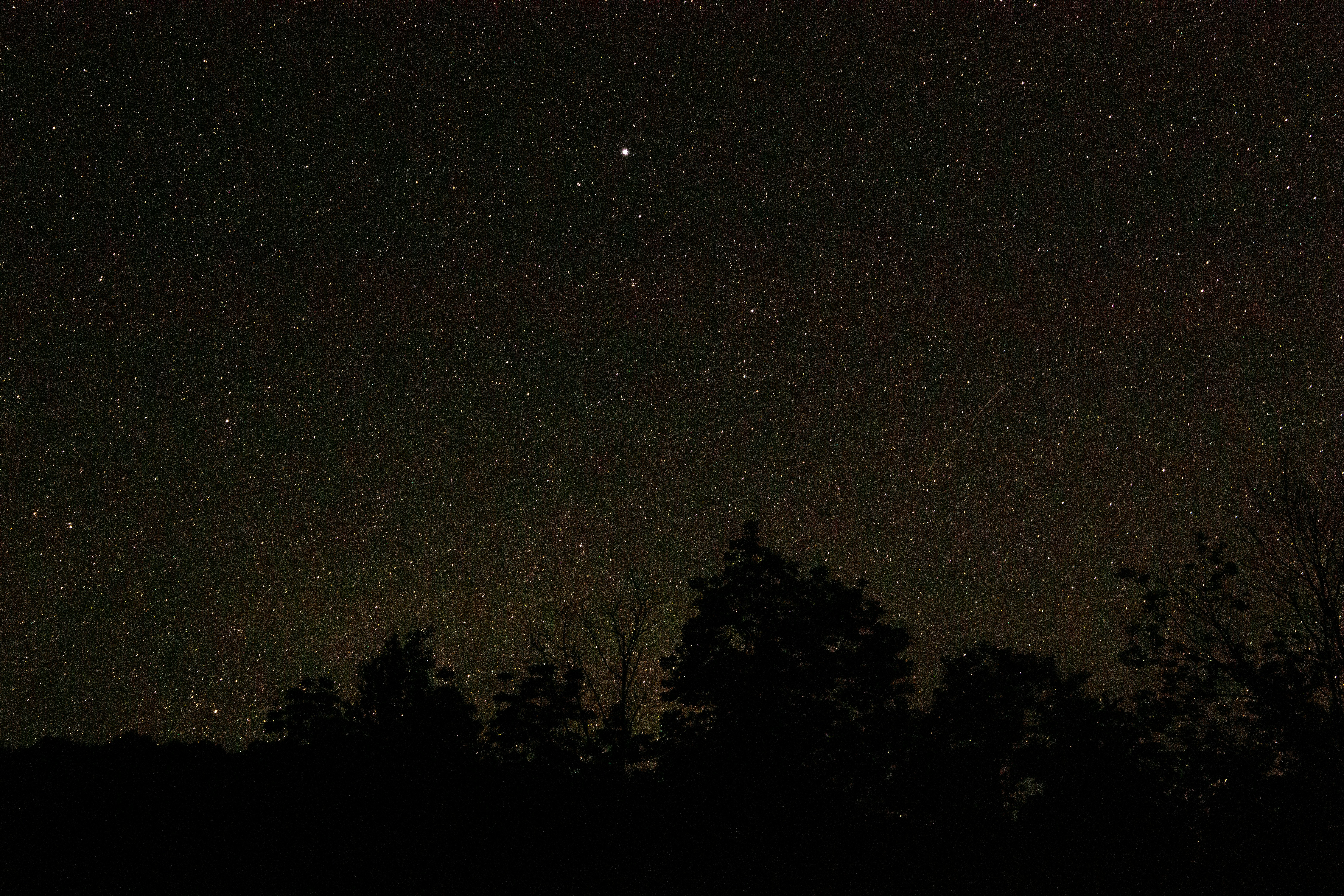 Photo by martinfinnucane