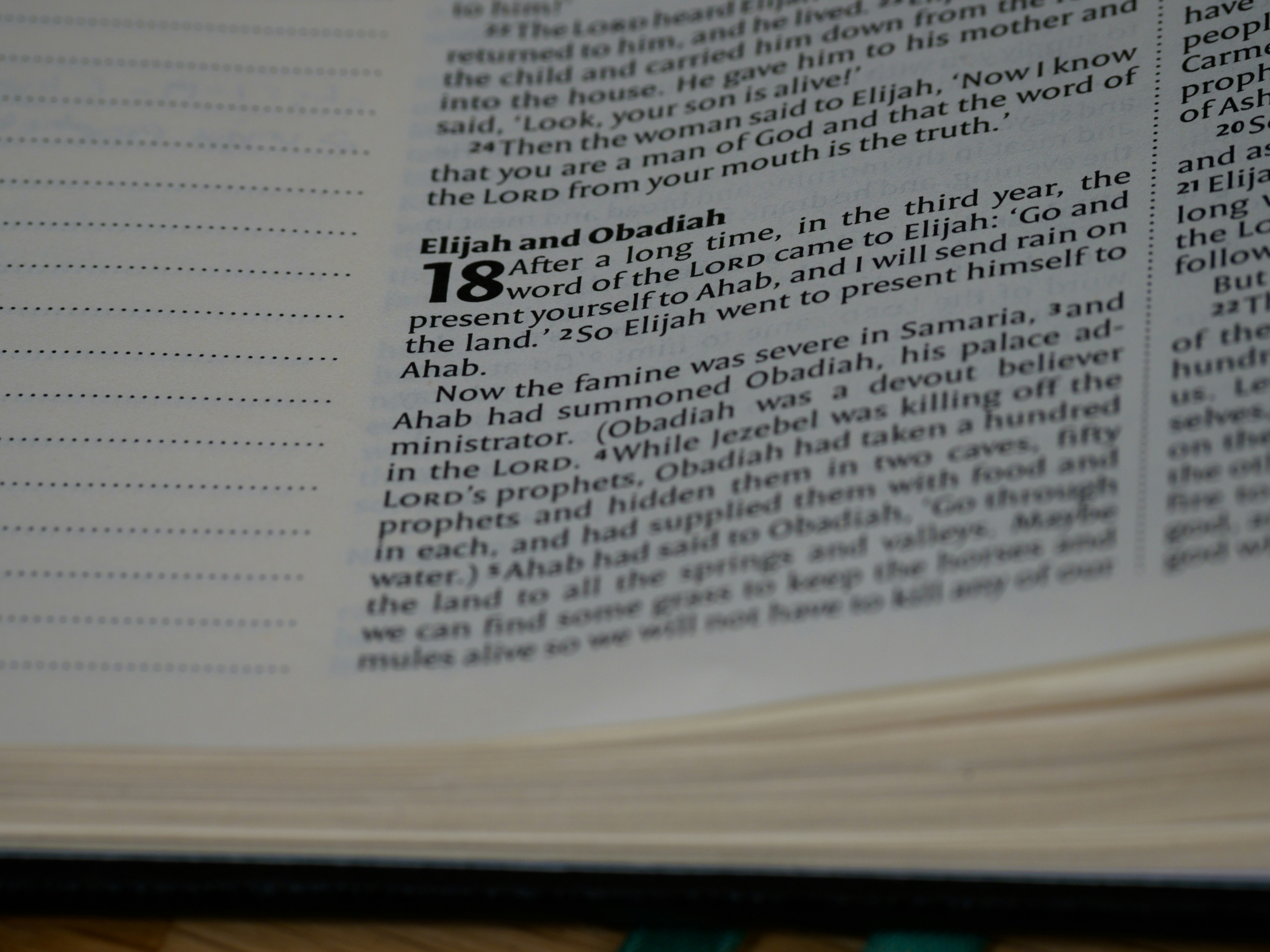 Photo by brett_jordan