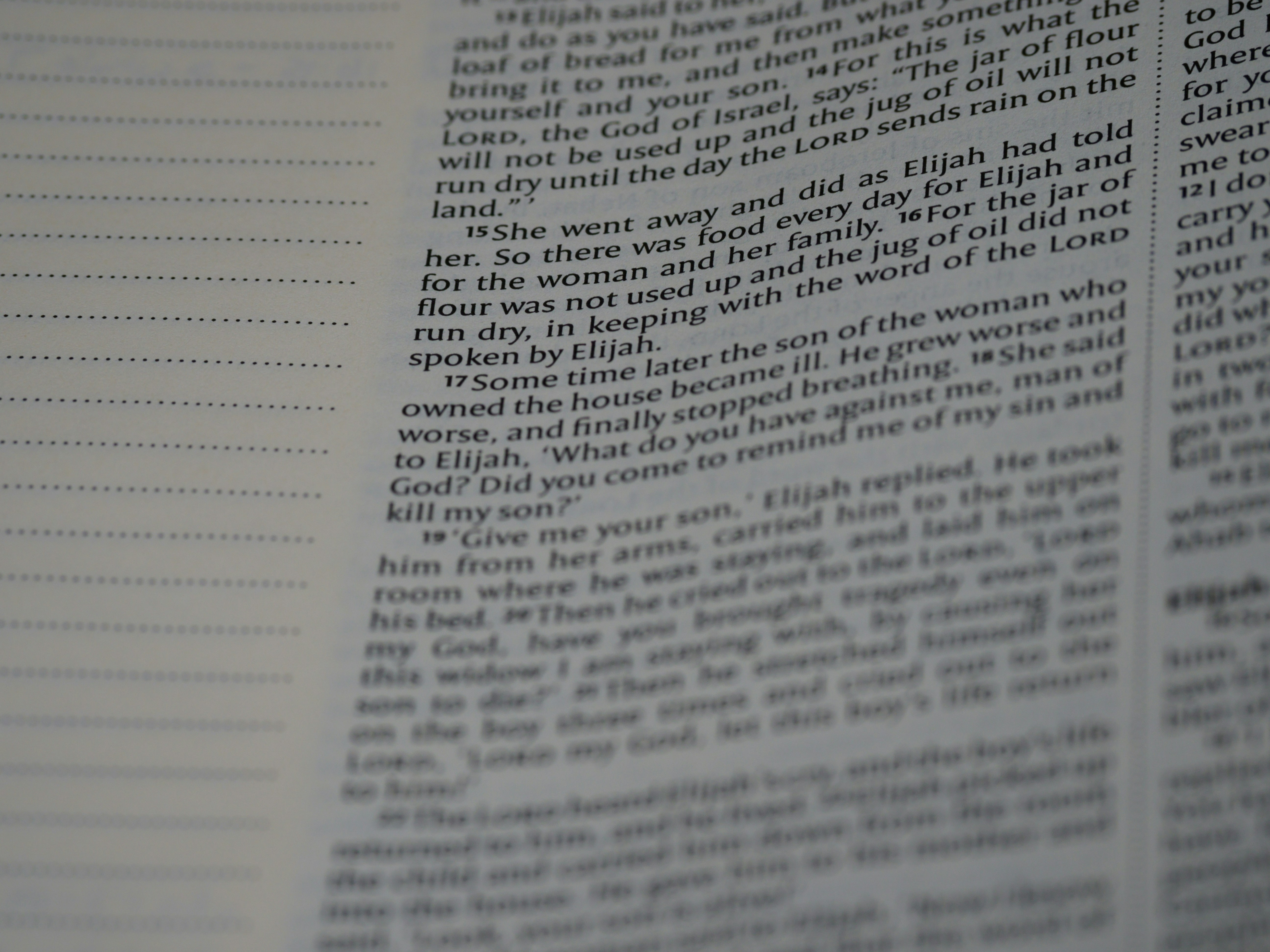 Photo by brett_jordan