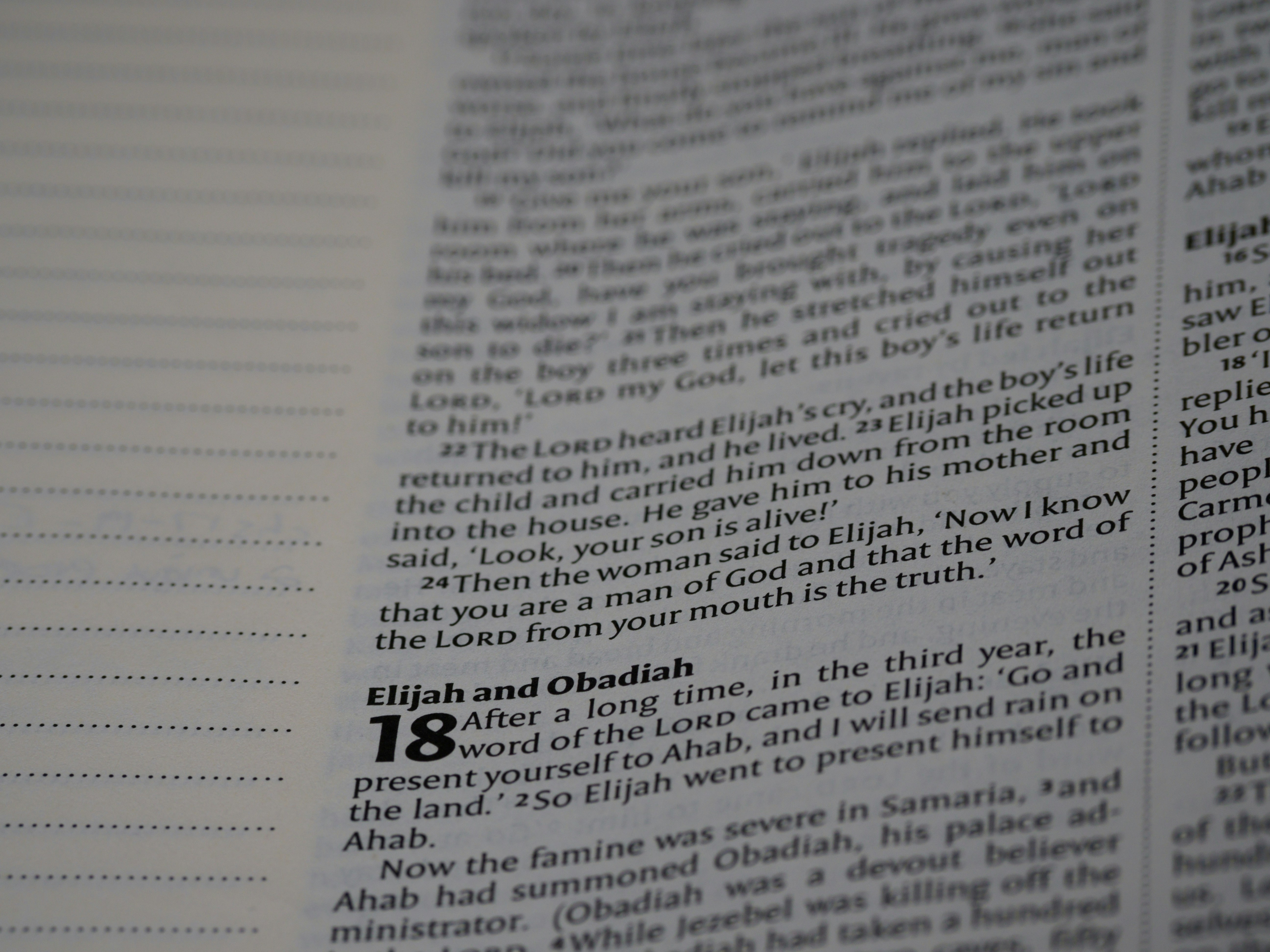 Photo by brett_jordan