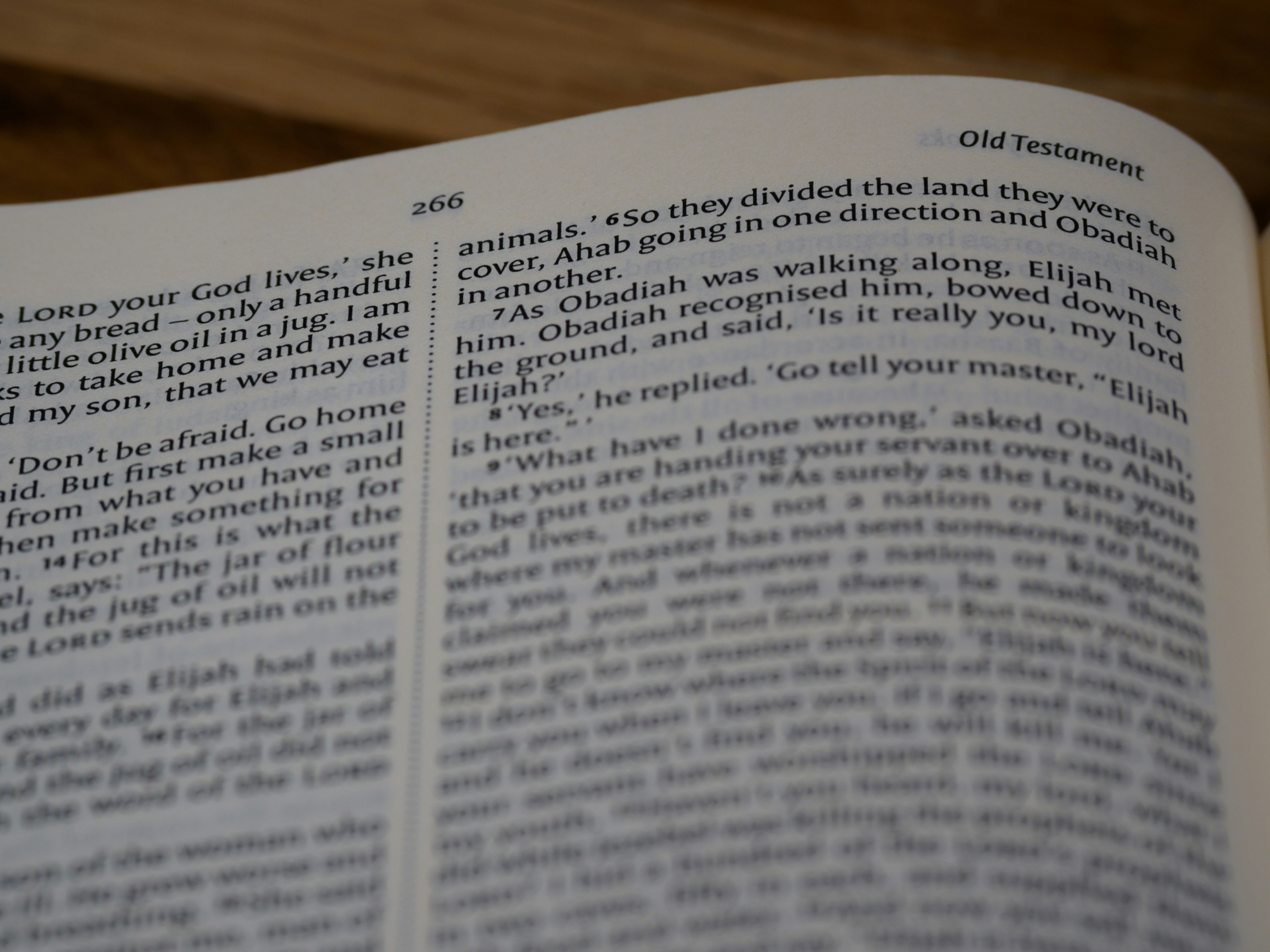 Photo by brett_jordan