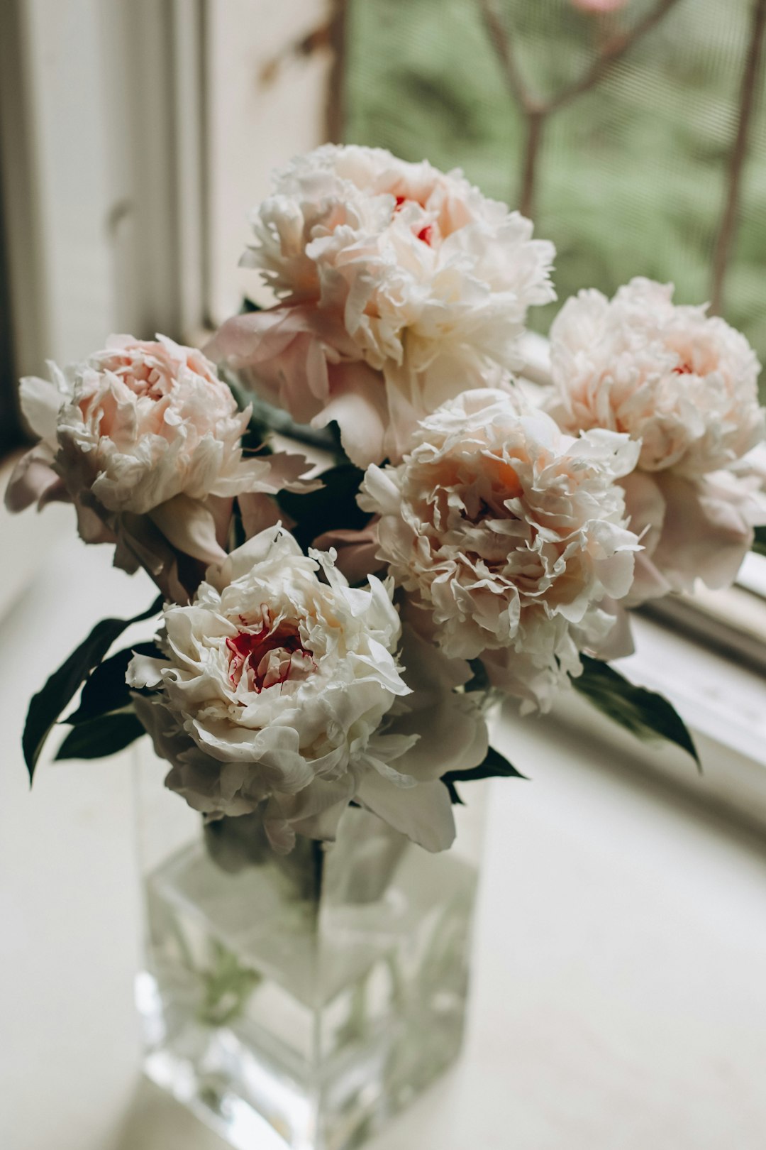 white flowers on glass vase