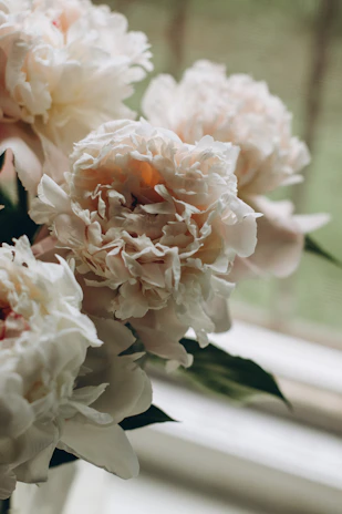 Elegant white and blush peony backdrop framing a cozy photo booth corner.