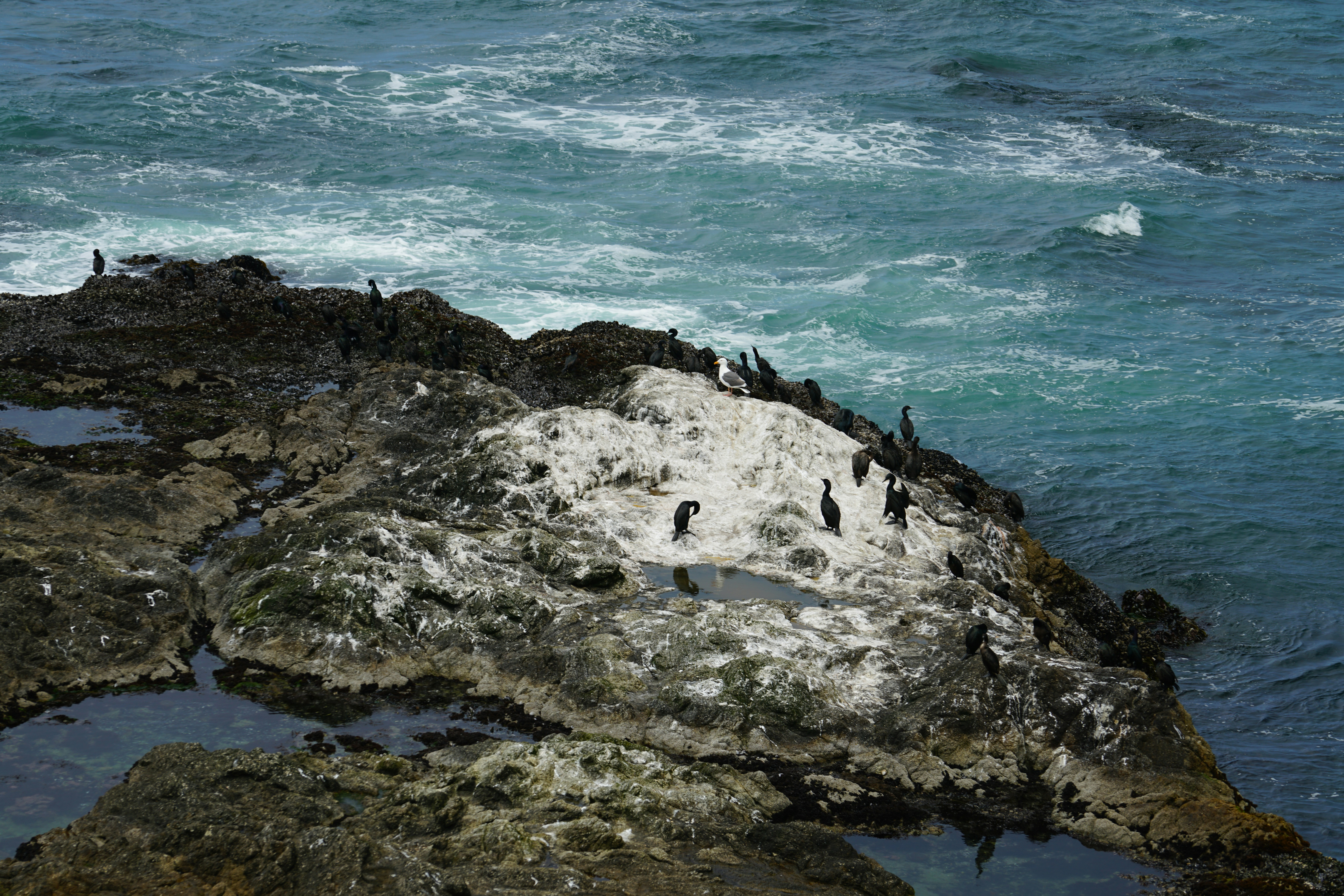 Photo by thekaranchawla