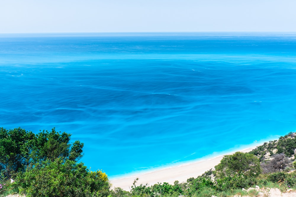 árvores verdes ao lado do mar azul durante o dia