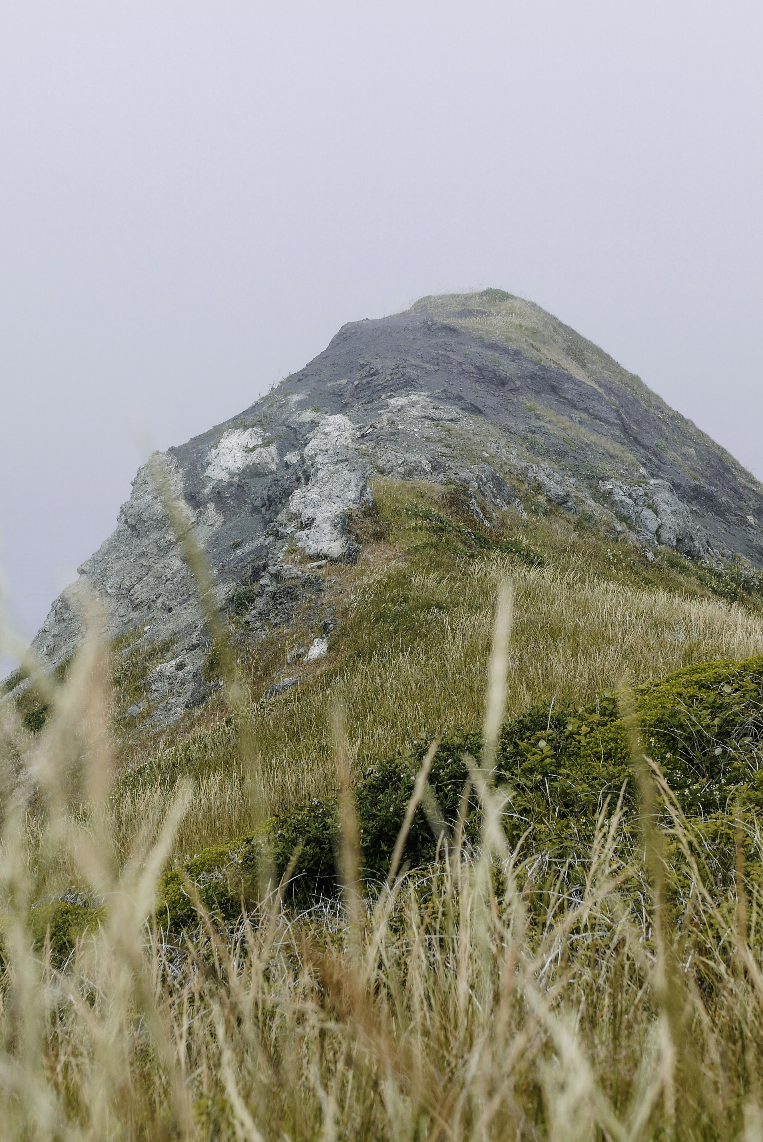 Grünes Grasfeld in der Nähe von Gray Mountain tagsüber