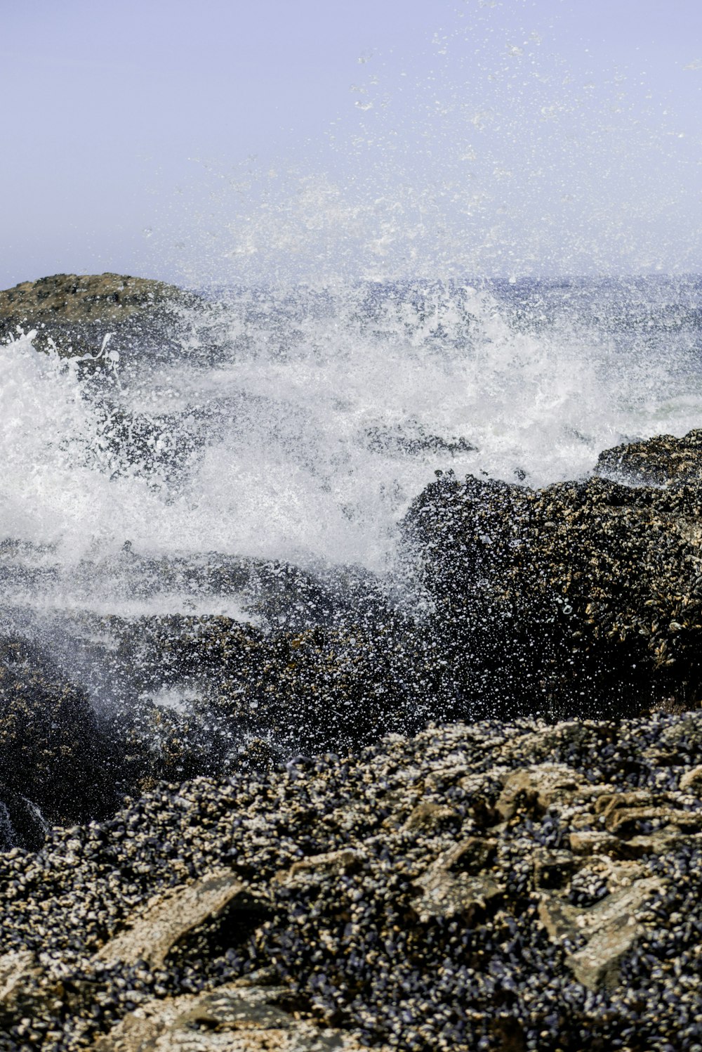 ocean waves crashing on rocky shore during daytime