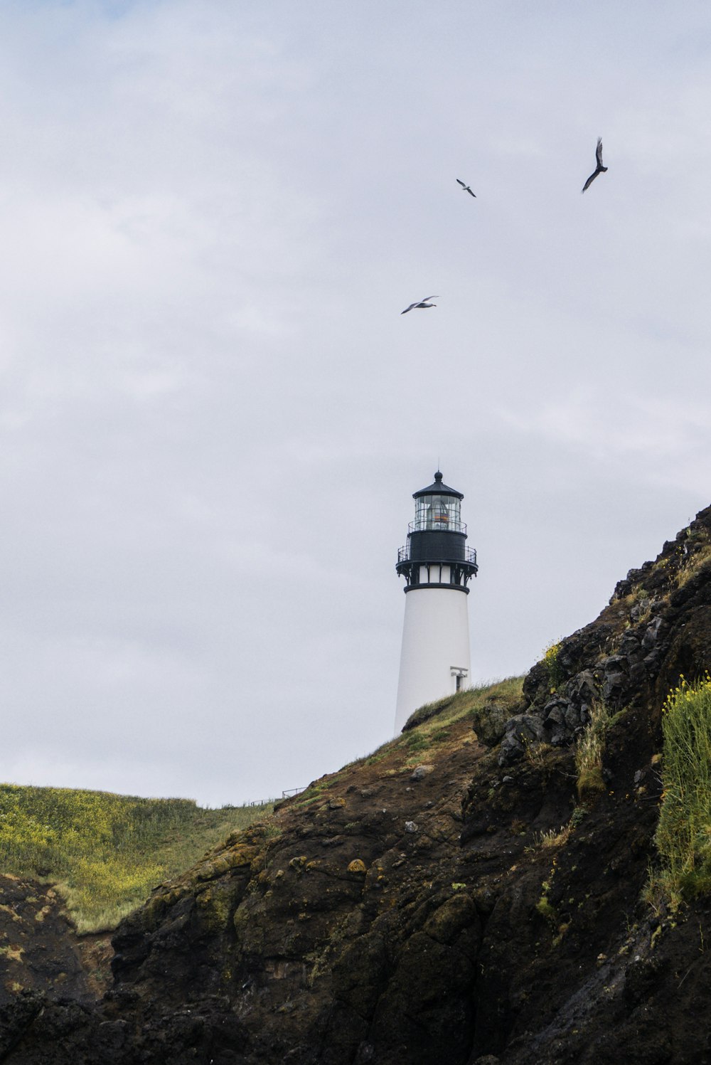 white and black lighthouse on green grass field under cloudy sky during daytime