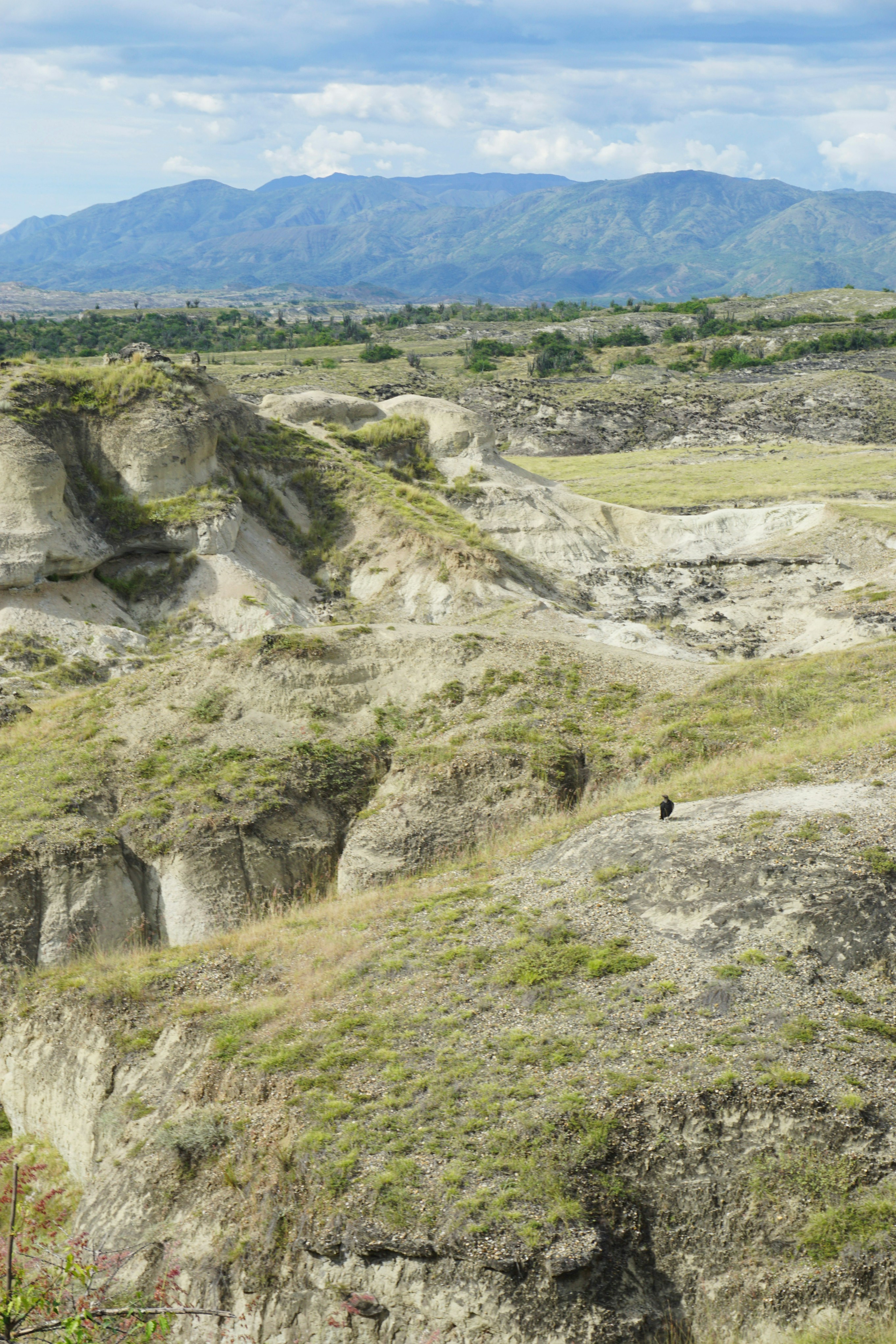 Shoestring Travel: Maximum Adventure, Minimal Cost