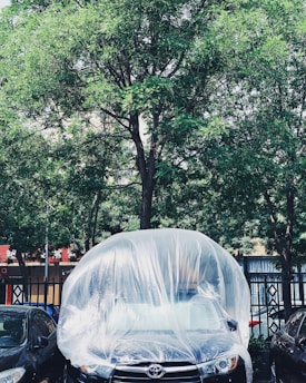 A car is parked under a lush green tree, covered in a transparent plastic sheet. The surroundings include additional parked cars on either side and a fence in the background. Sunlight filters through the tree leaves, casting dappled shadows on the vehicle.