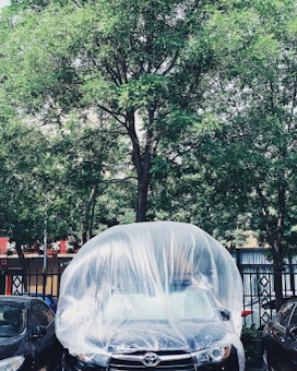 A car is parked under a lush green tree, covered in a transparent plastic sheet. The surroundings include additional parked cars on either side and a fence in the background. Sunlight filters through the tree leaves, casting dappled shadows on the vehicle.