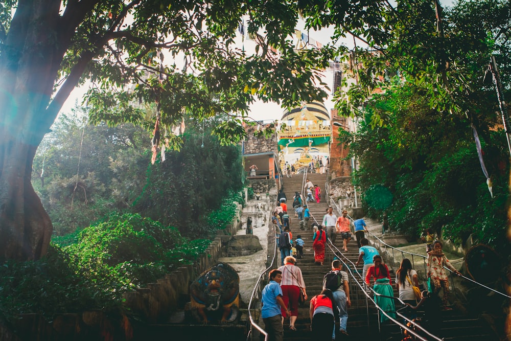 a group of people walking up a set of stairs