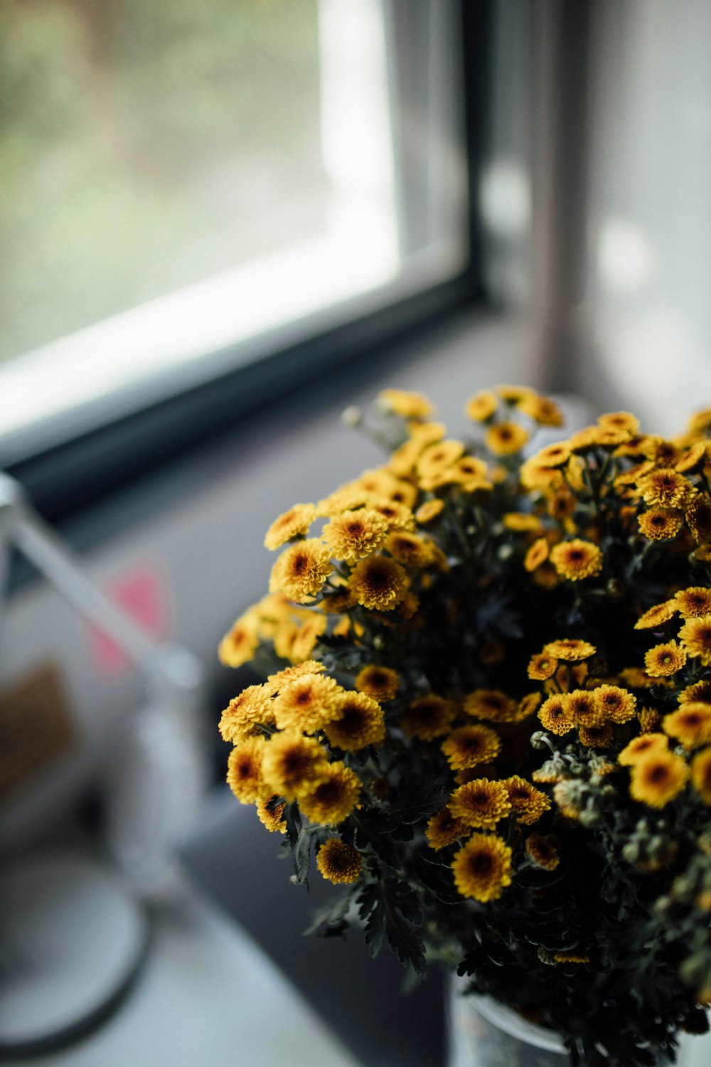 yellow flowers in tilt shift lens