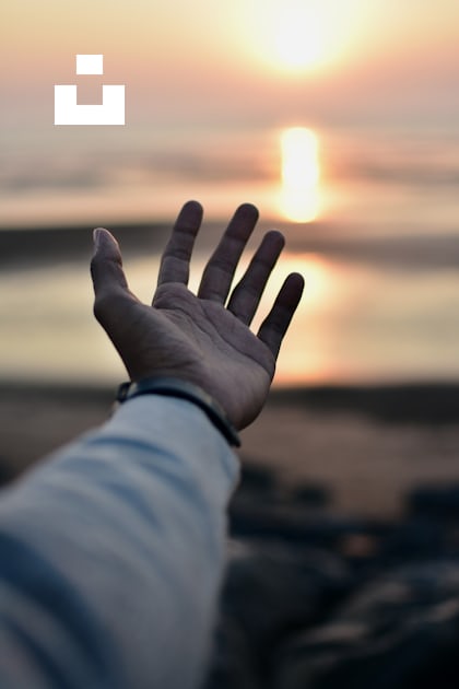 A hand reaching out towards the ocean at sunset photo – Free Ocean ...