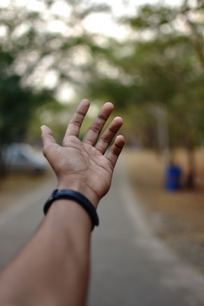 A hand with an open palm is extended forward, with a blurred background of a pathway lined with trees. The person is wearing a black wristband.