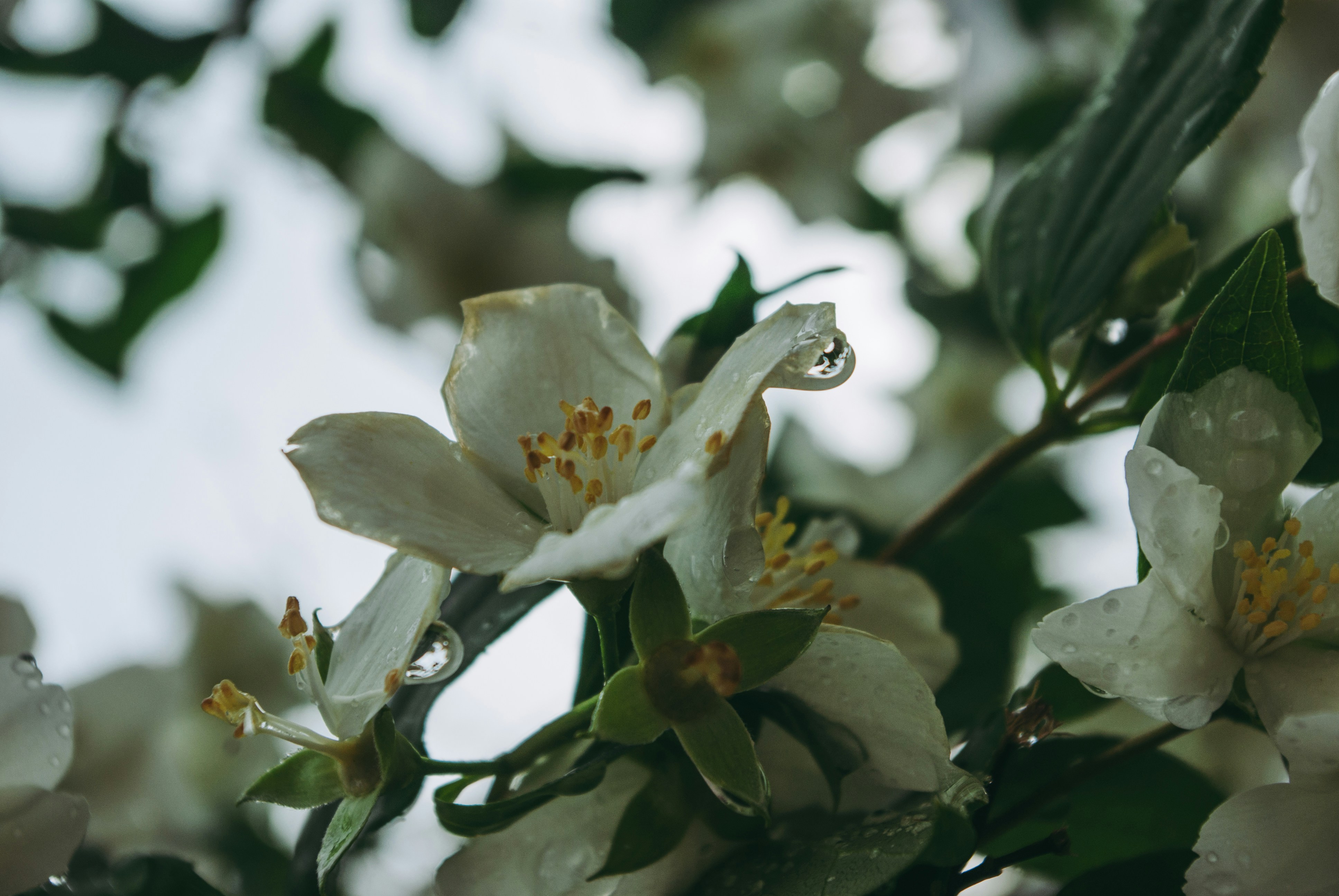 Photo by moonmoons_days