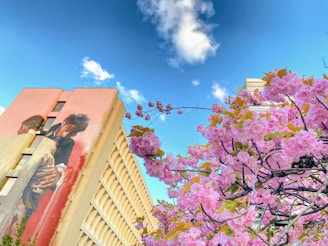 A vibrant mural on the side of an urban building depicts two figures in a carefully detailed and expressive scene. In the foreground, lush pink cherry blossoms fill the frame, providing a stark contrast against the clear blue sky. The combination of art, nature, and modern architecture creates a vivid and dynamic image.