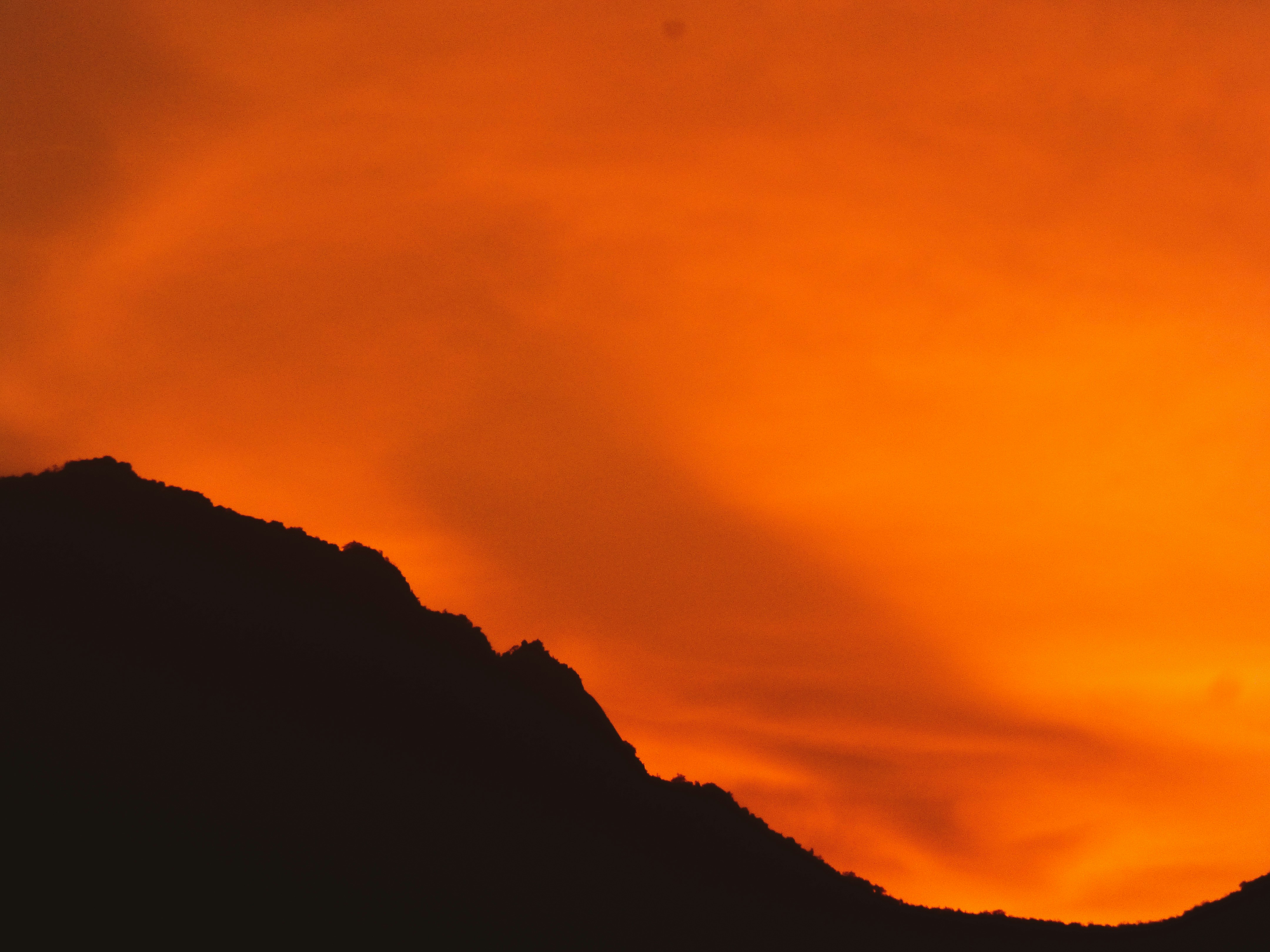 Photo by prithiviraj