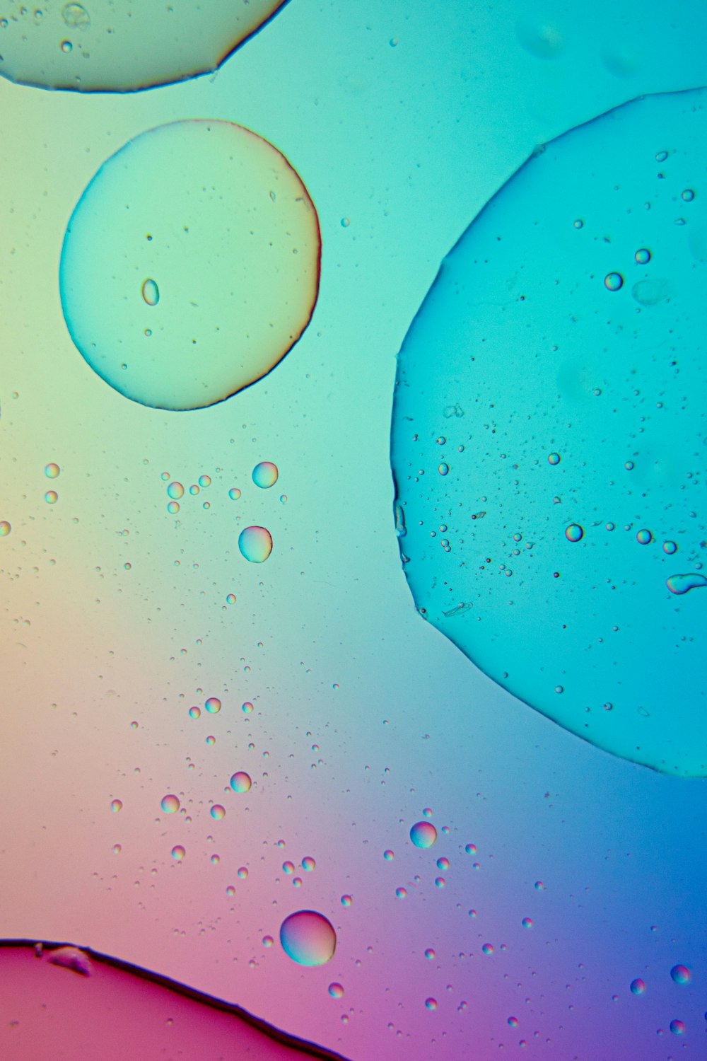 water droplets on blue surface