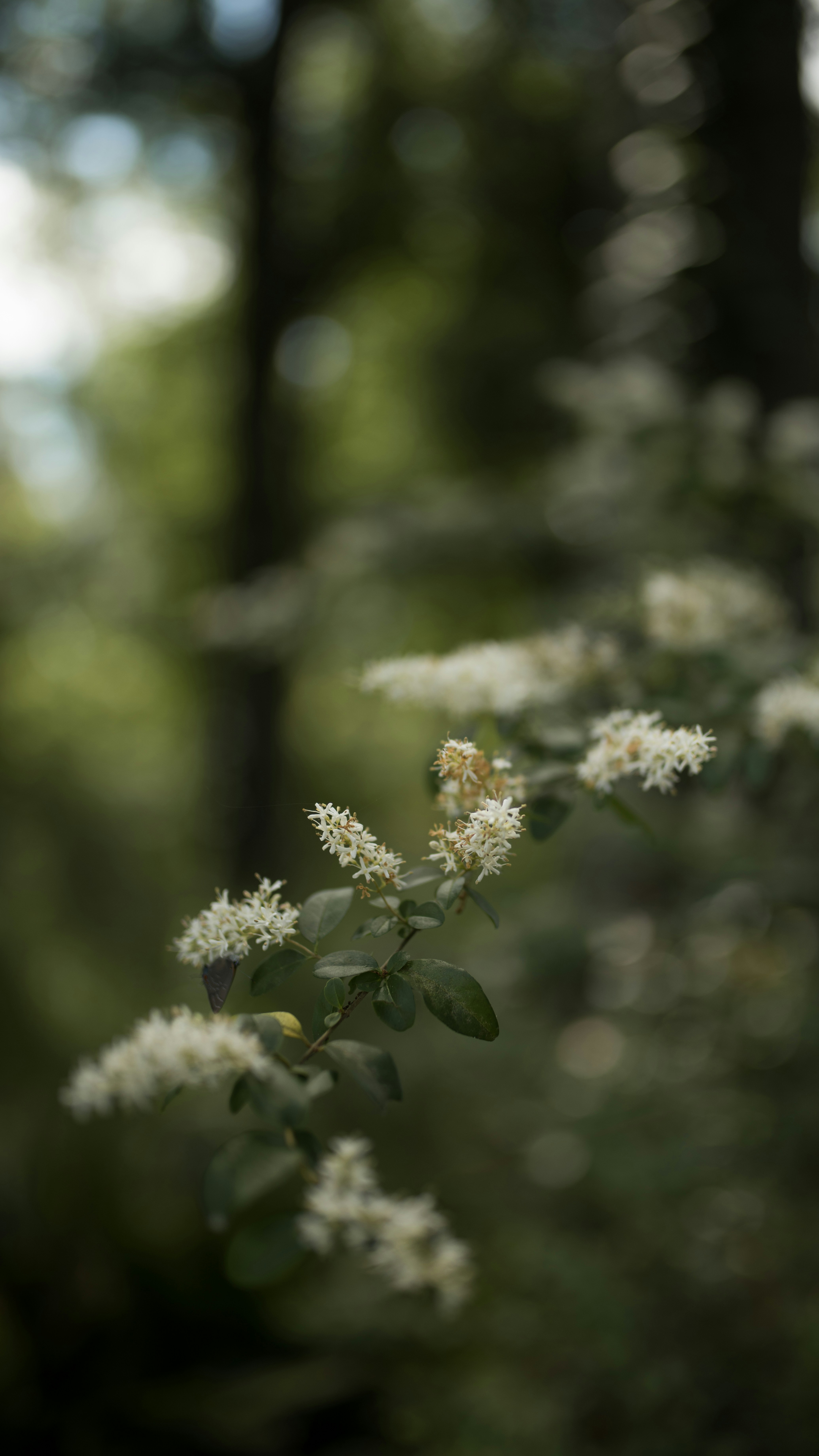 Photo by hannahmeredithphoto