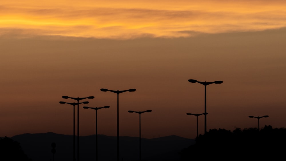 a group of street lights sitting next to each other