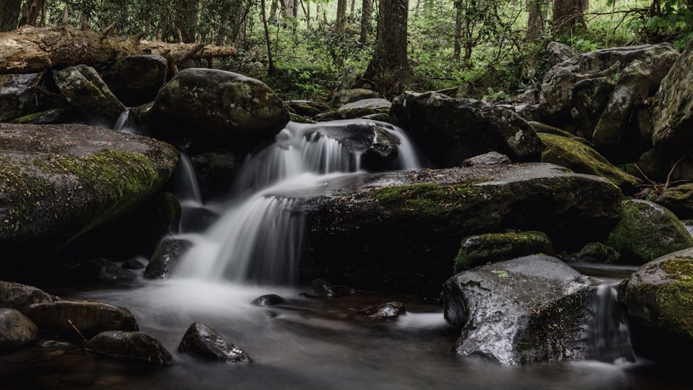 a small waterfall in the middle of a forest