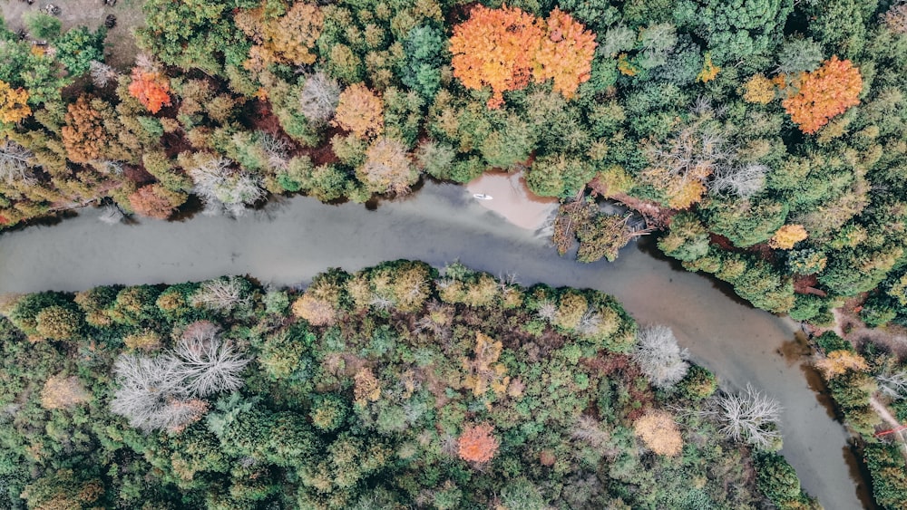 an aerial view of a river surrounded by trees